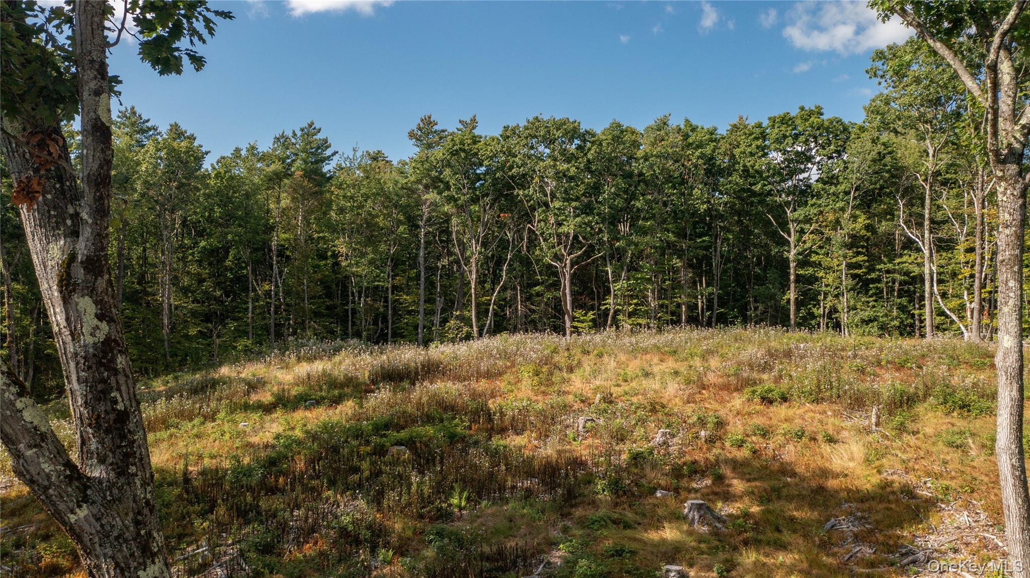 Tbd Old Ghost Road Property Photo 10