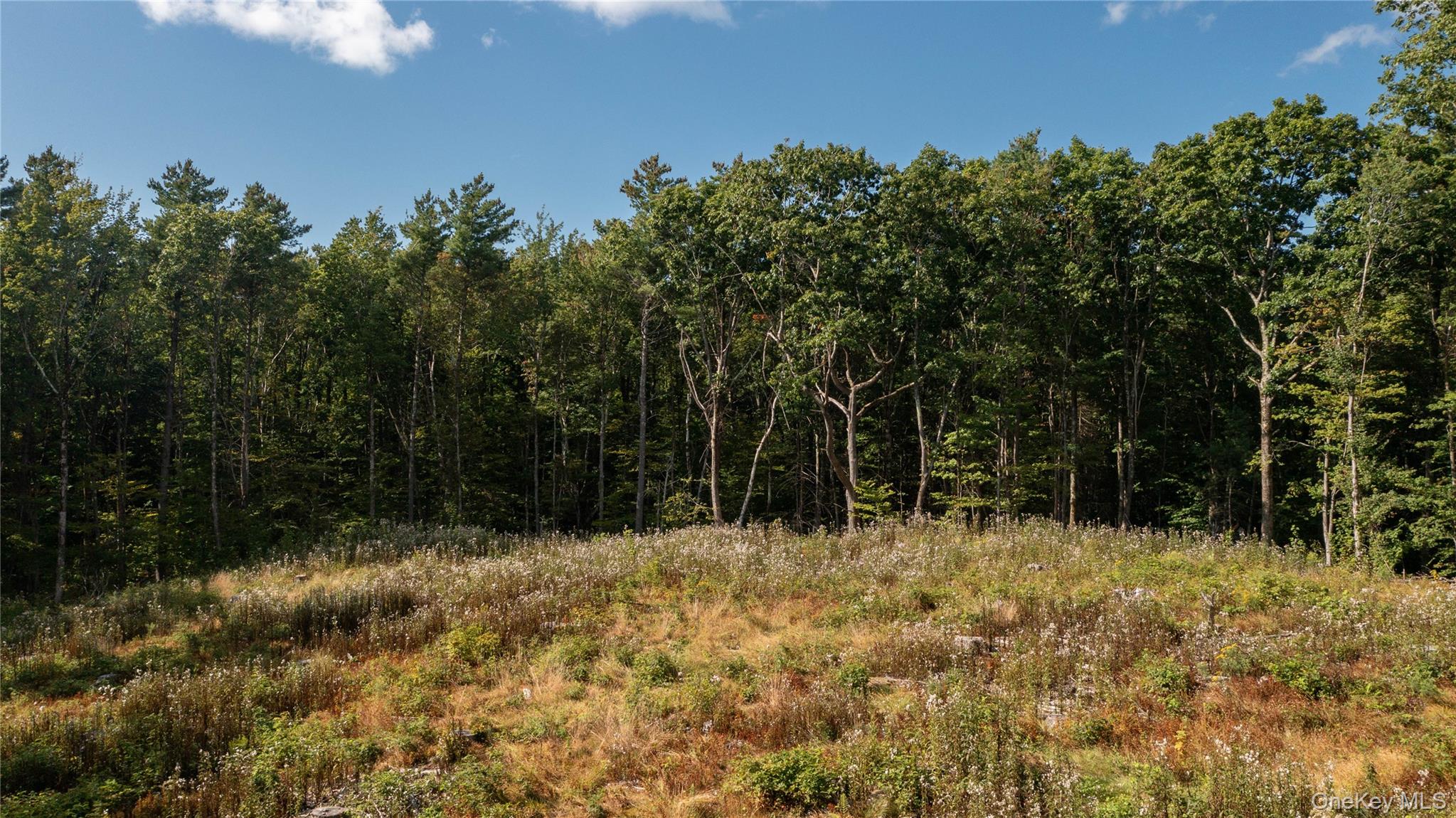 Tbd Old Ghost Road Property Photo 11
