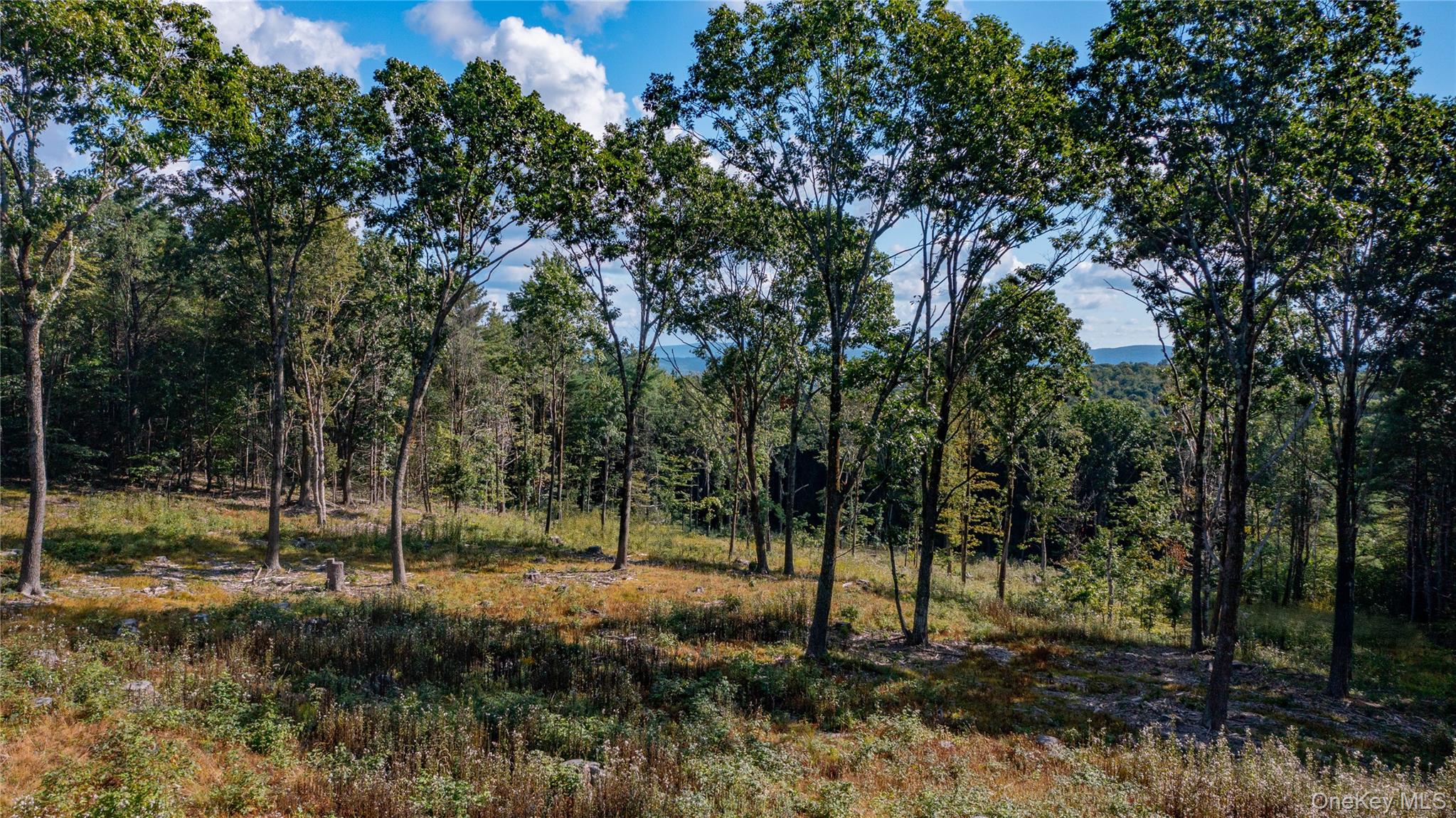 Tbd Old Ghost Road Property Photo 14