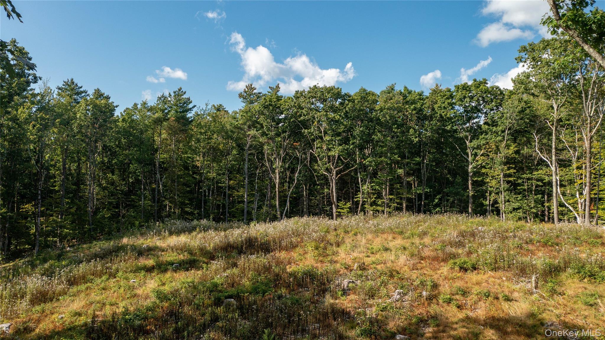 Tbd Old Ghost Road Property Photo 16