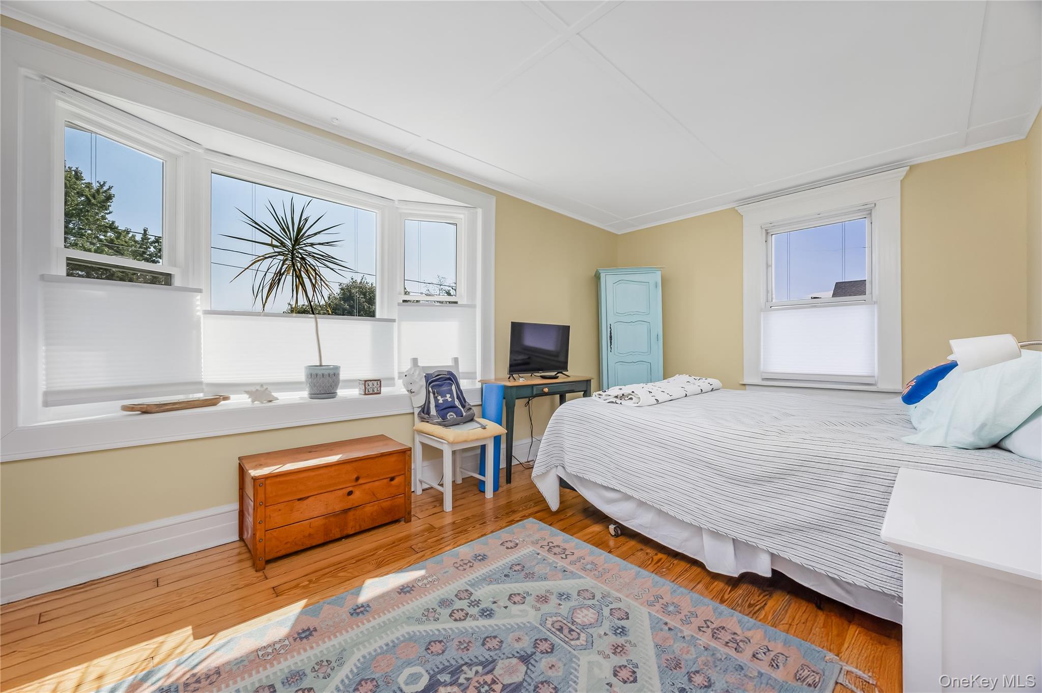 53 Thorne Street Property Photo 22