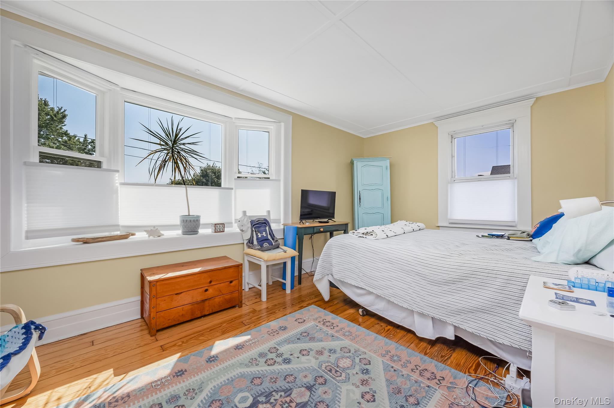 53 Thorne Street Property Photo 23