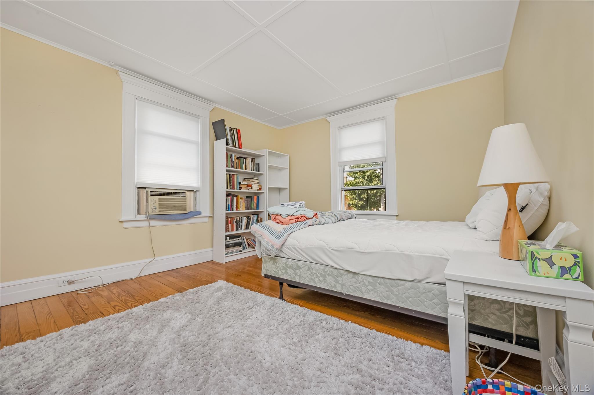 53 Thorne Street Property Photo 25