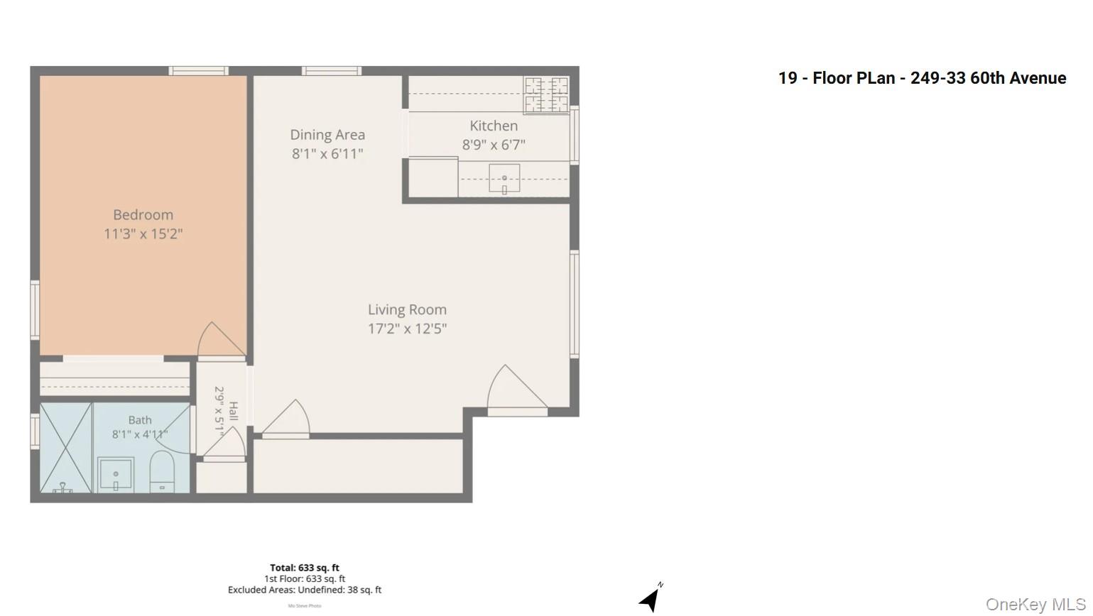 249-33 60th Avenue Lower Property Photo 19