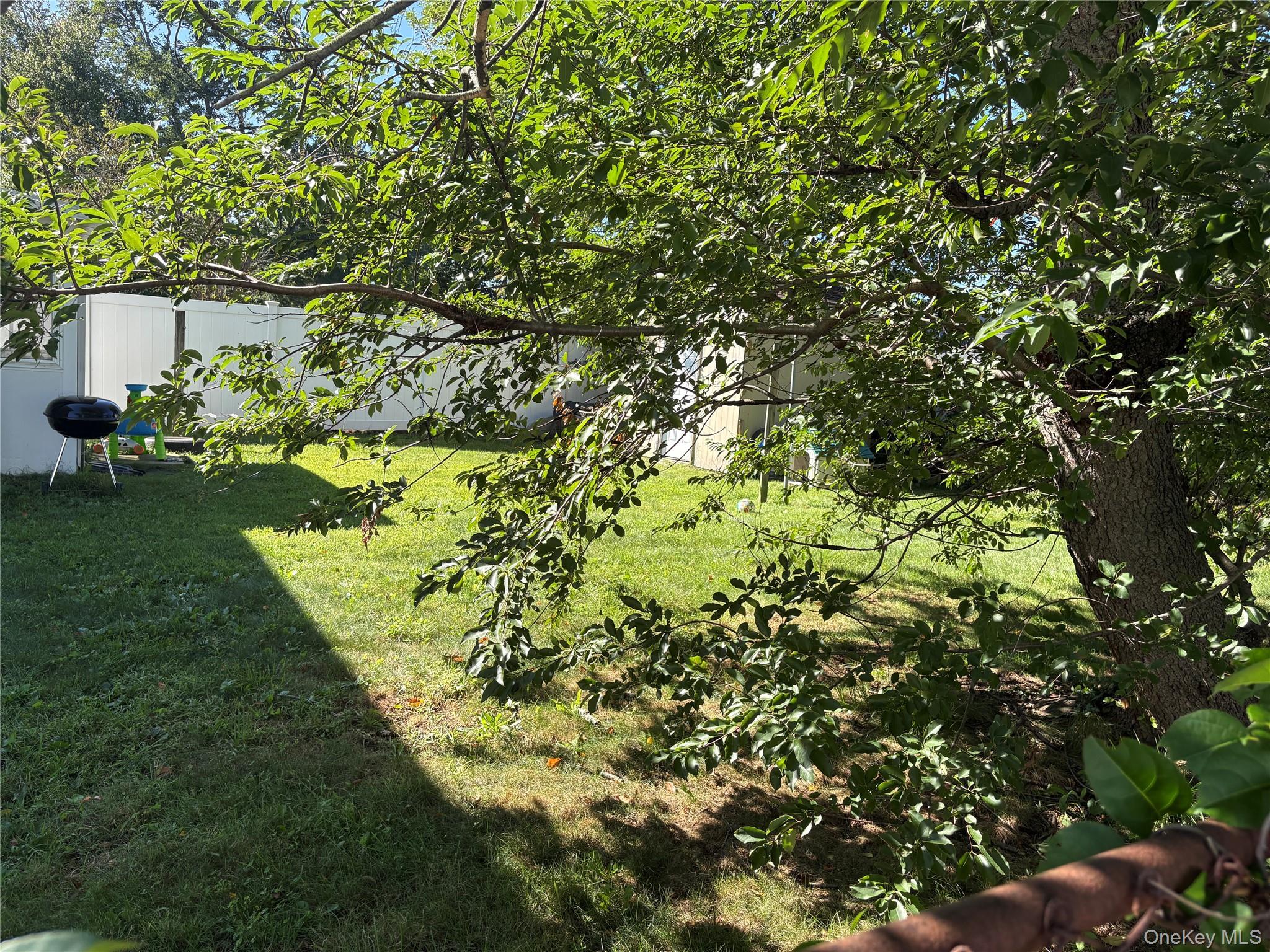 59 Williams Avenue Property Photo 36