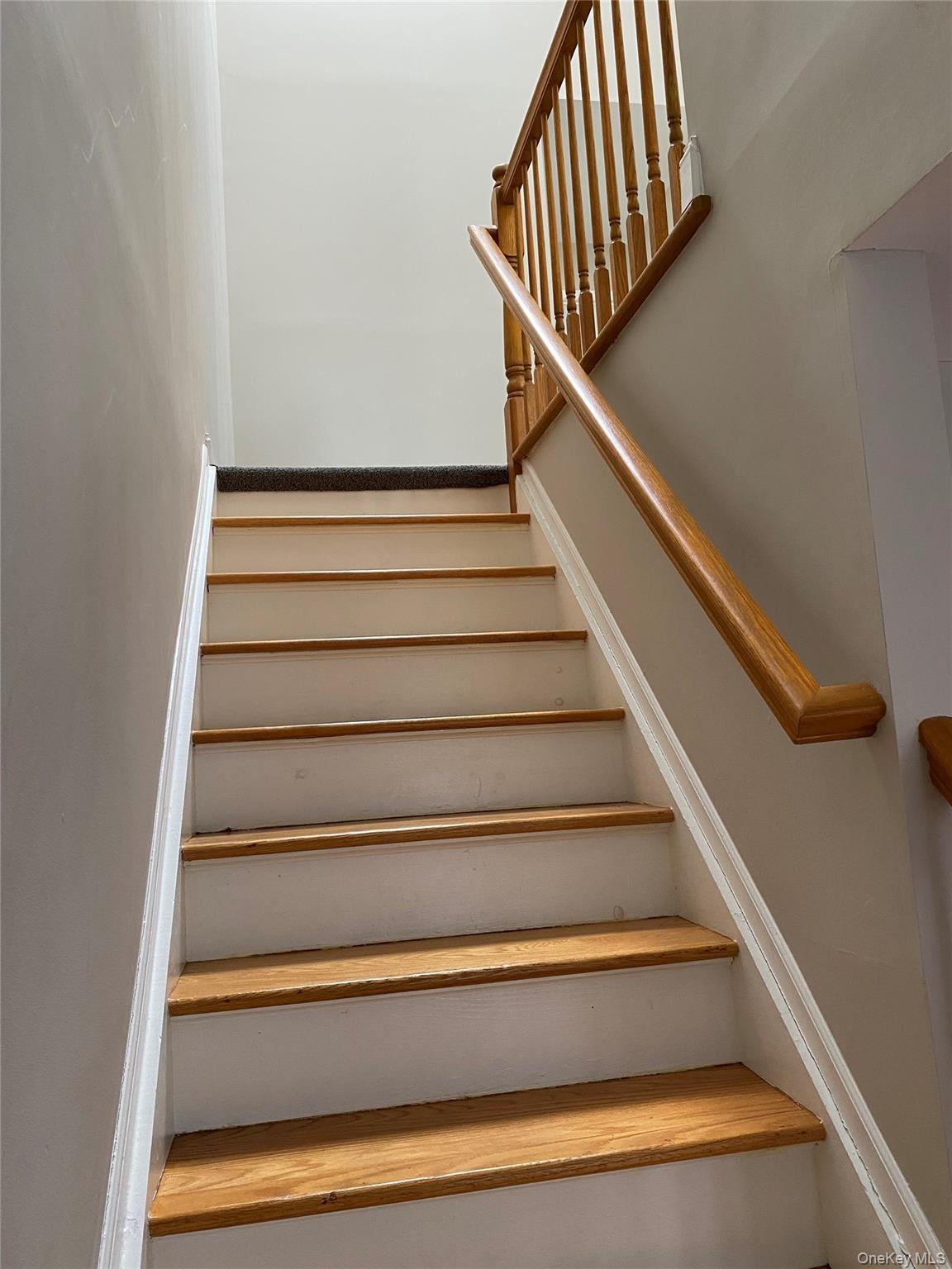 239 Cleveland Avenue Property Photo 9