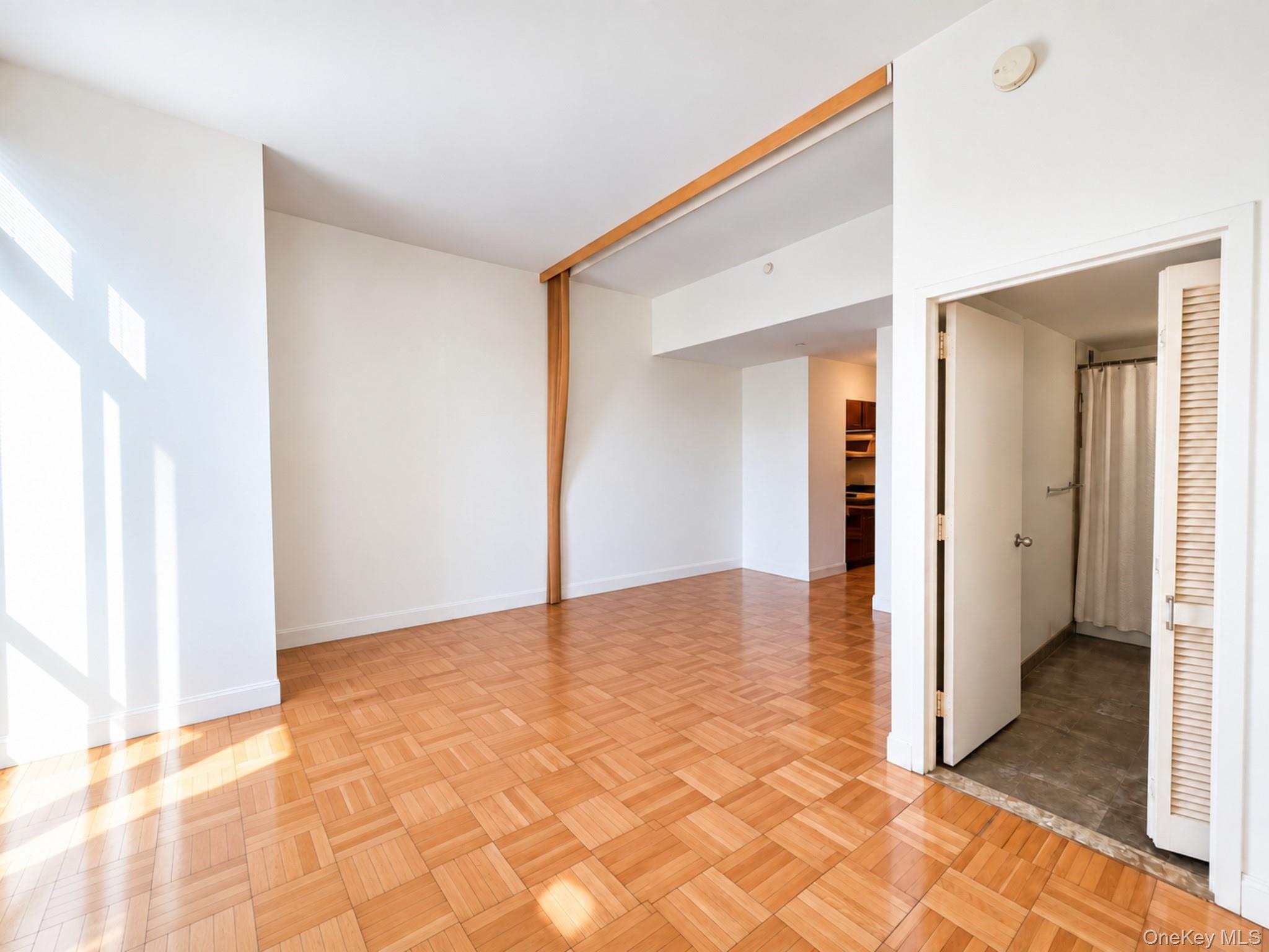 215 E 96th Street 30k Property Photo 9