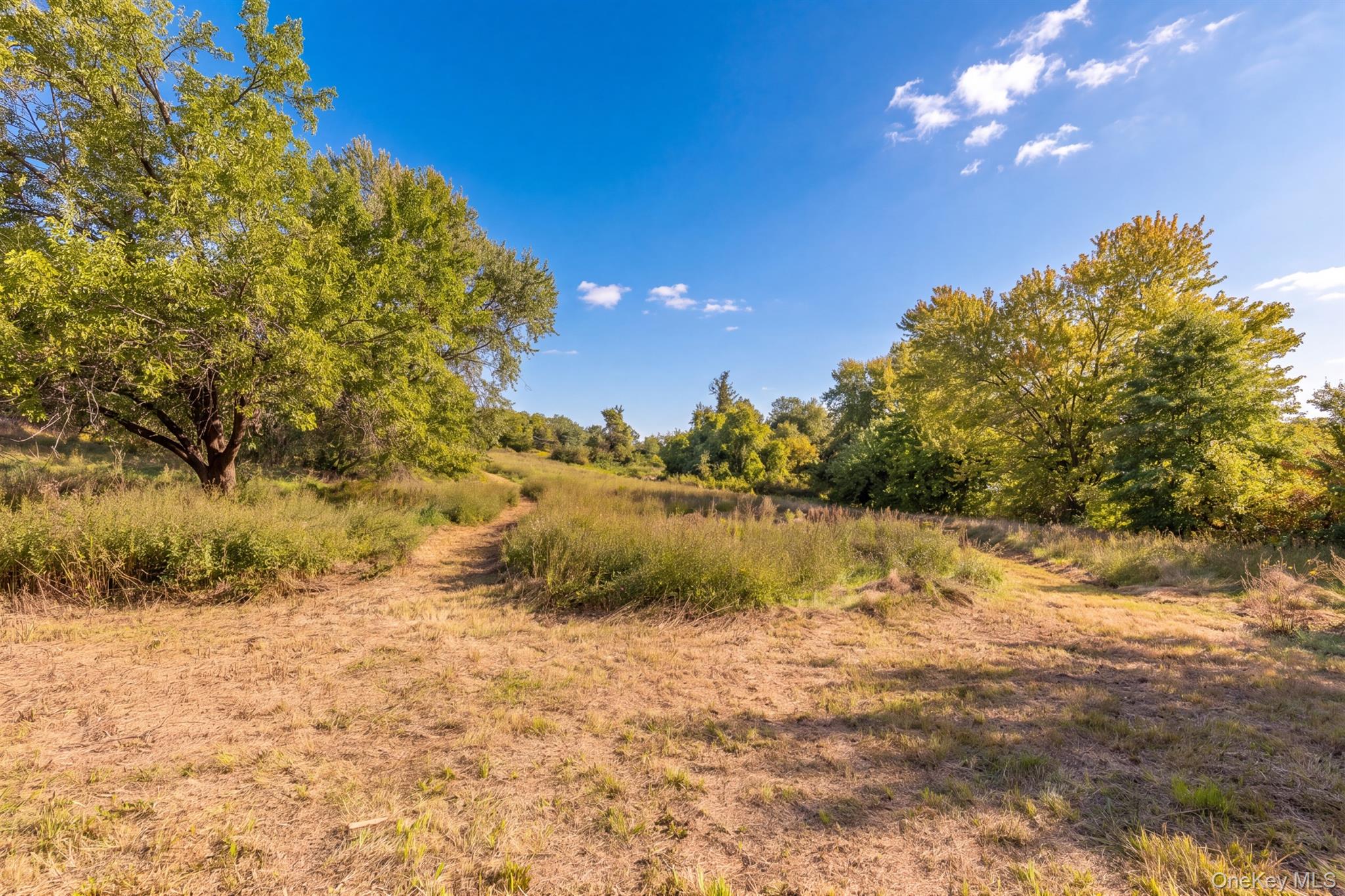 250 Sawkill Road Property Photo 41