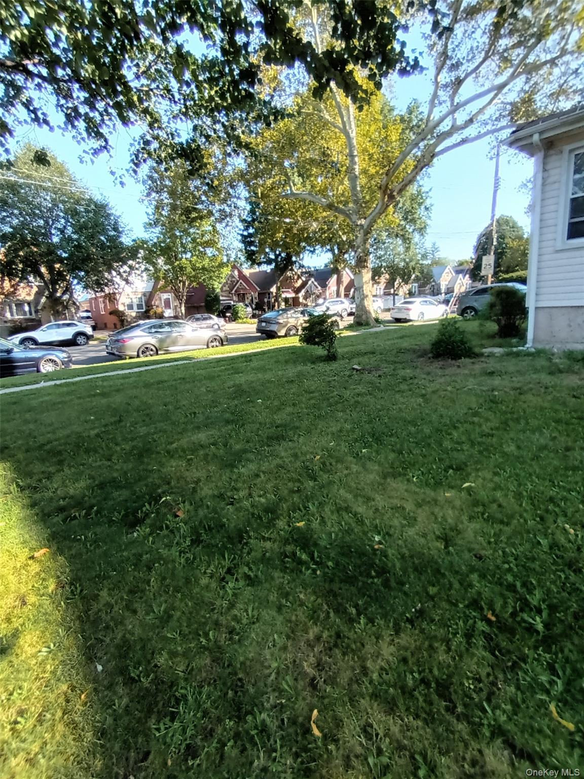 17704 137th Avenue Property Photo 3