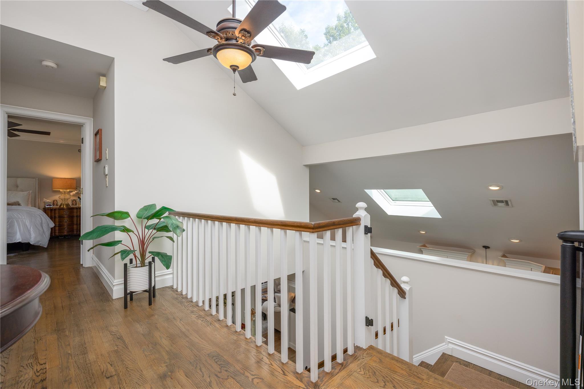 16 Lark Street Property Photo 20