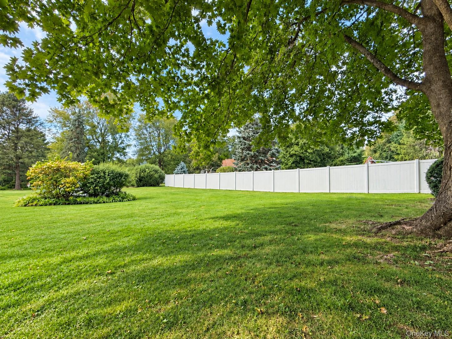 547 #a King Street Property Photo 14
