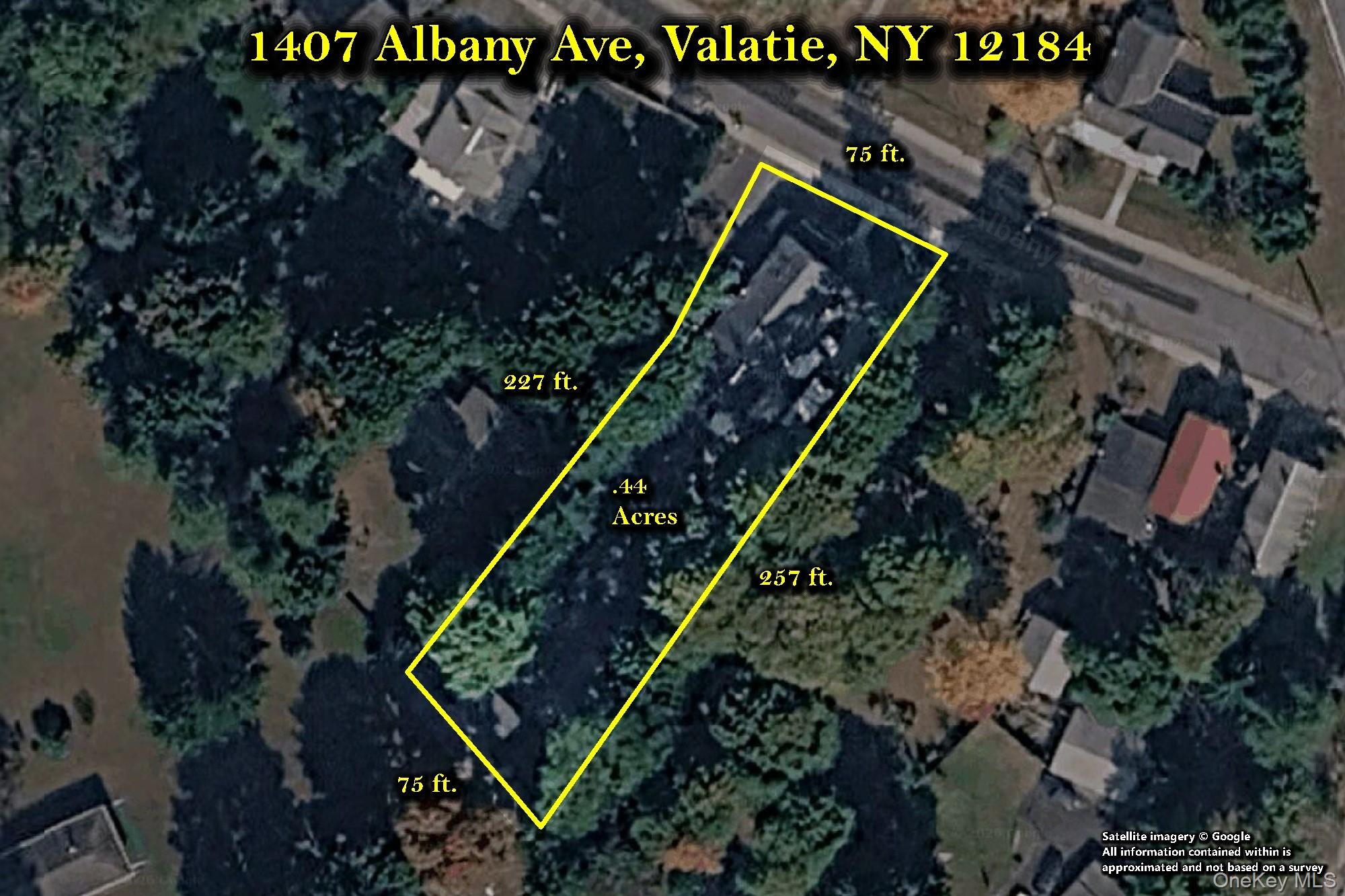 1407 Albany Avenue Property Photo 44