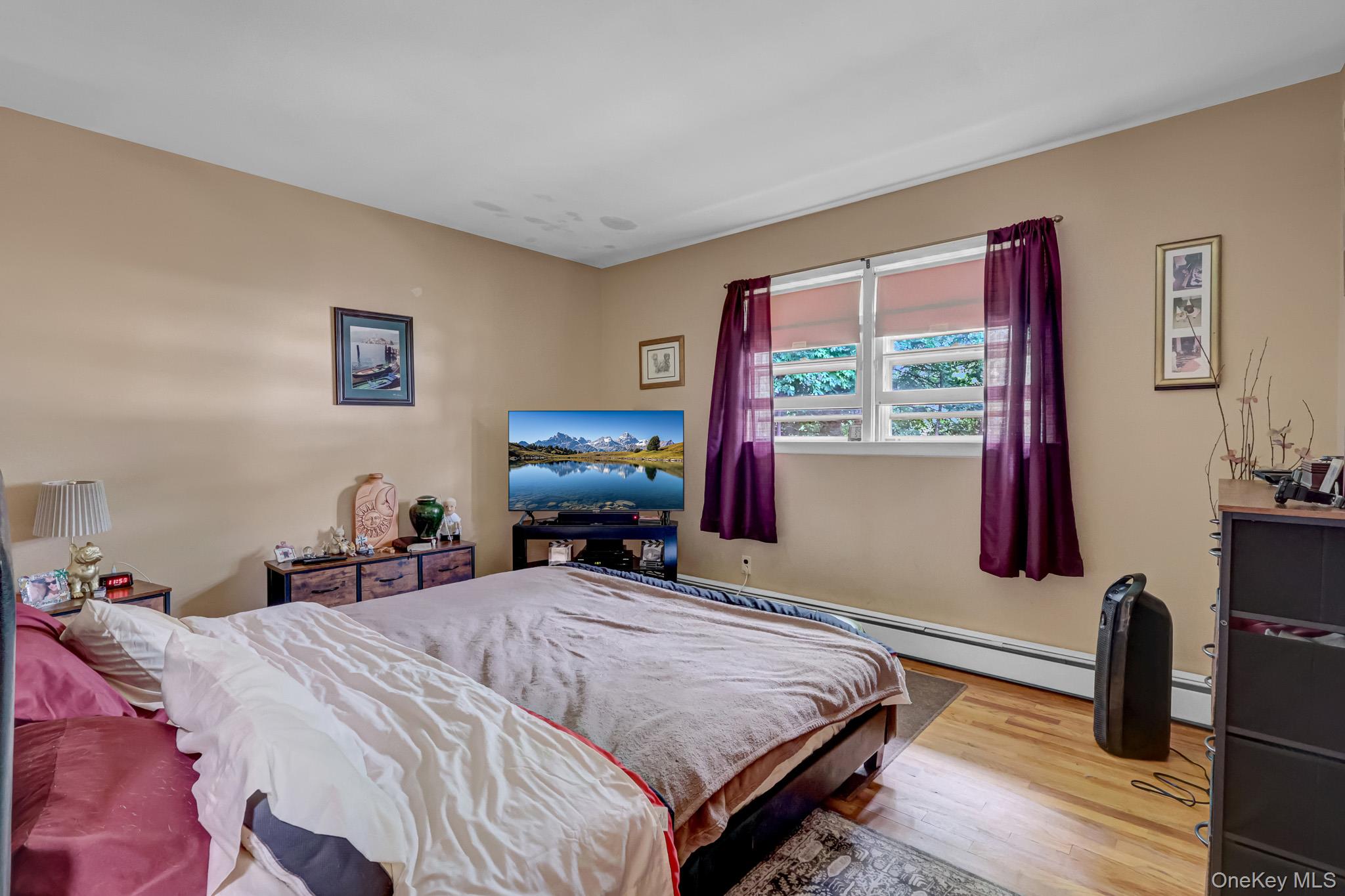 13 Haight Street Property Photo 20