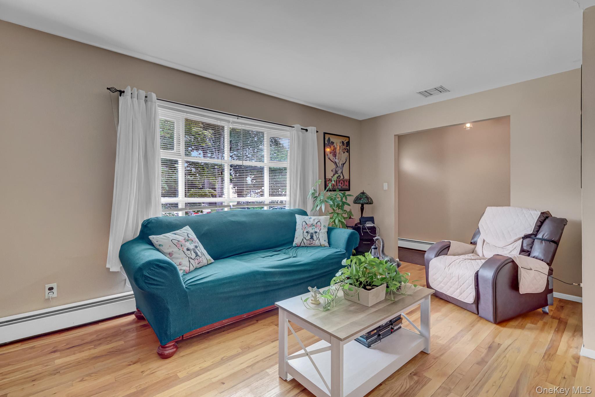 13 Haight Street Property Photo 21