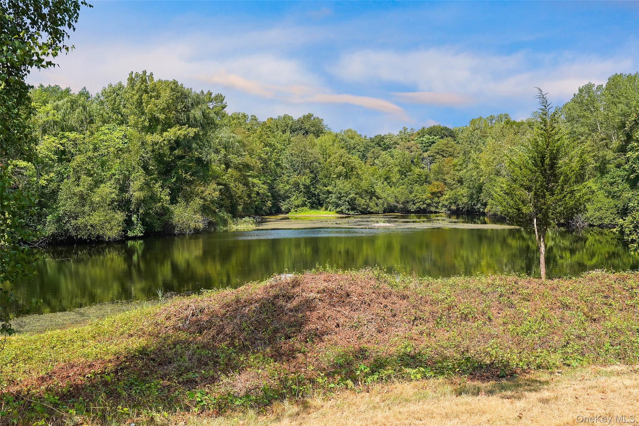 420 Trump Park Property Photo 33