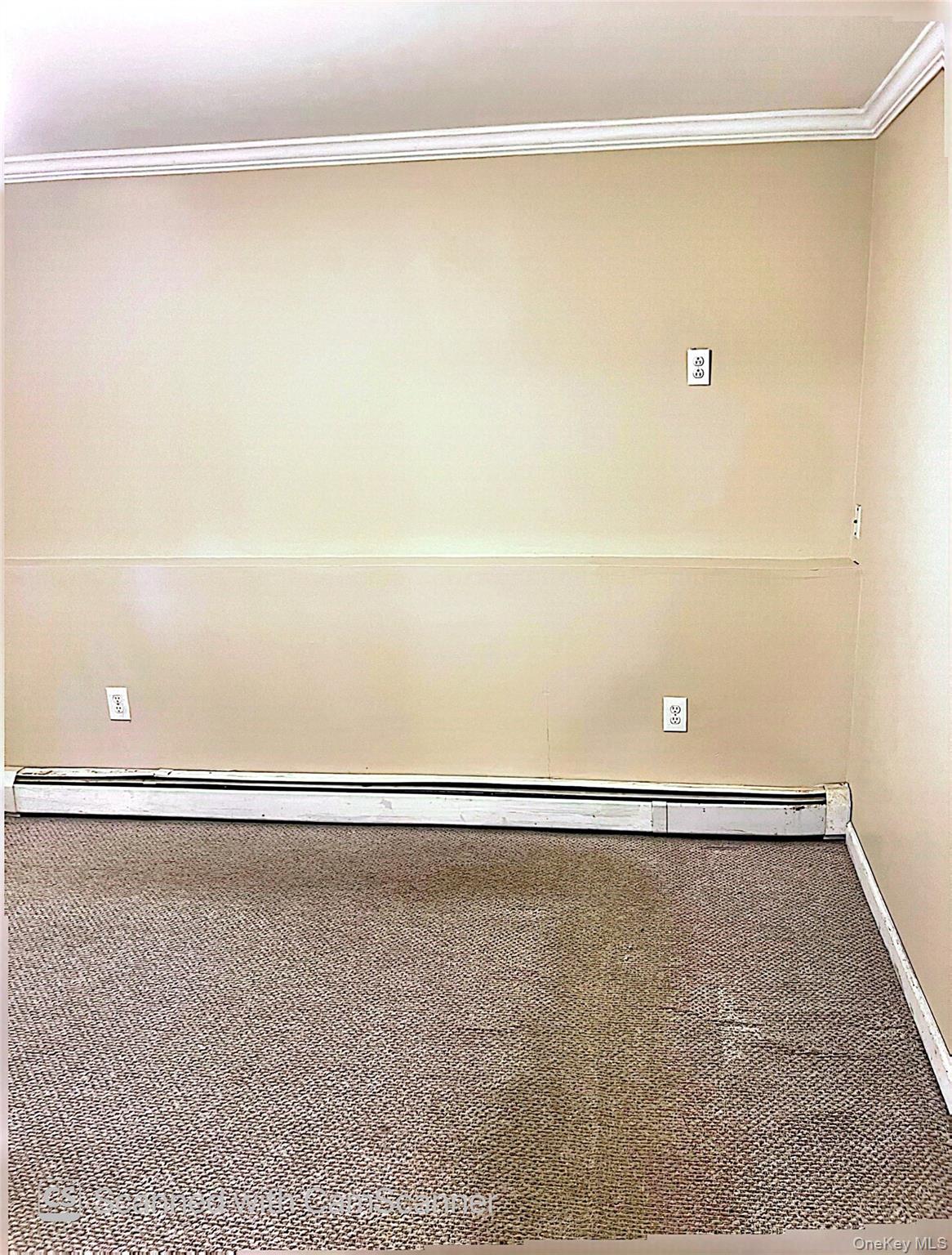 4 Conklin Avenue Property Photo 20
