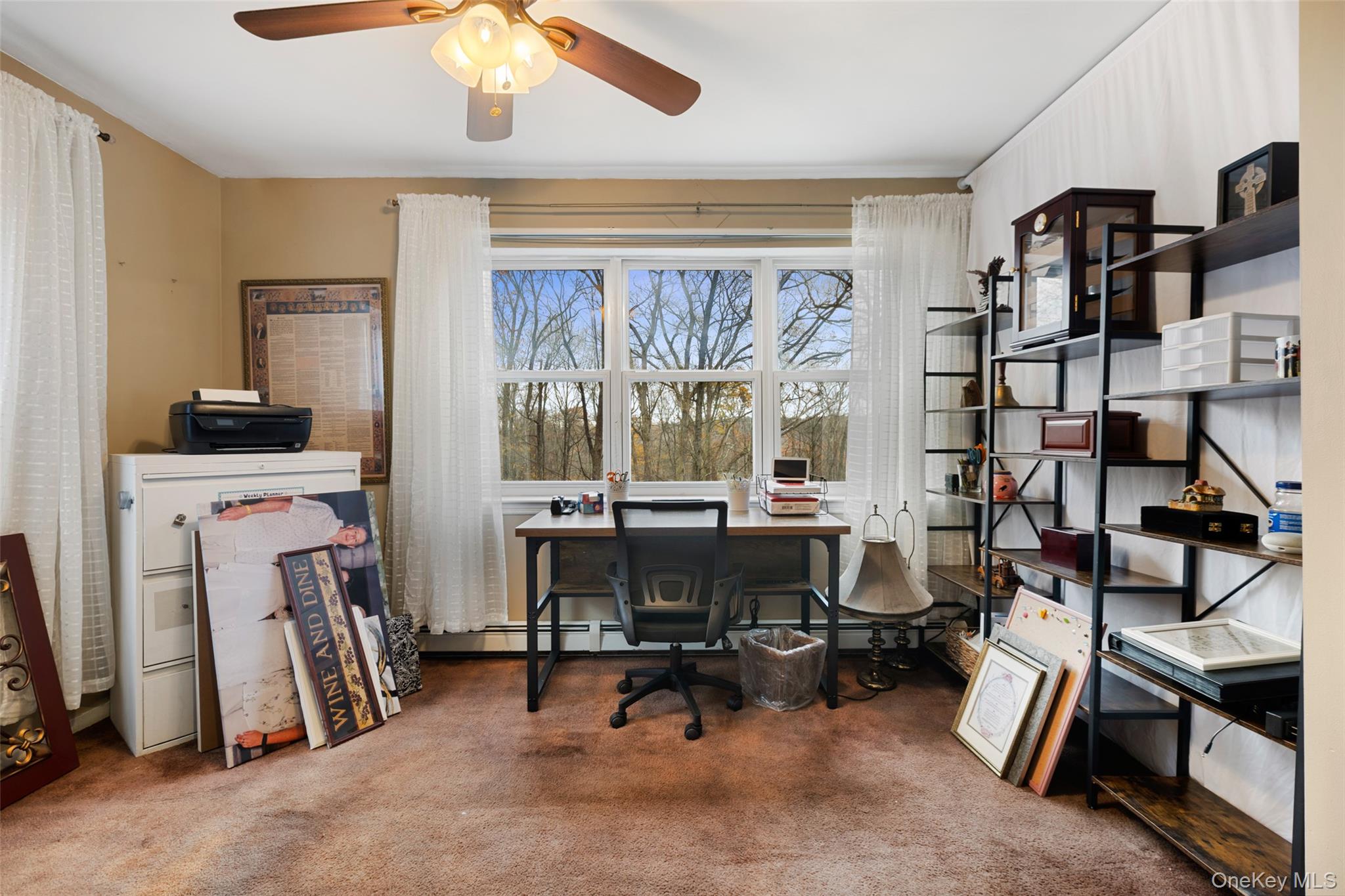 27 Cannon Road Property Photo 19