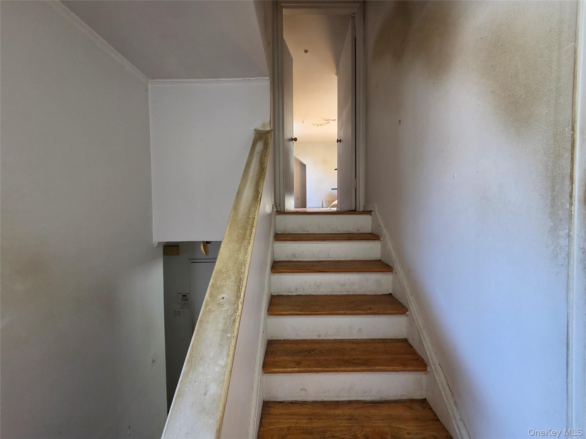 291 Concord Avenue Property Photo 13