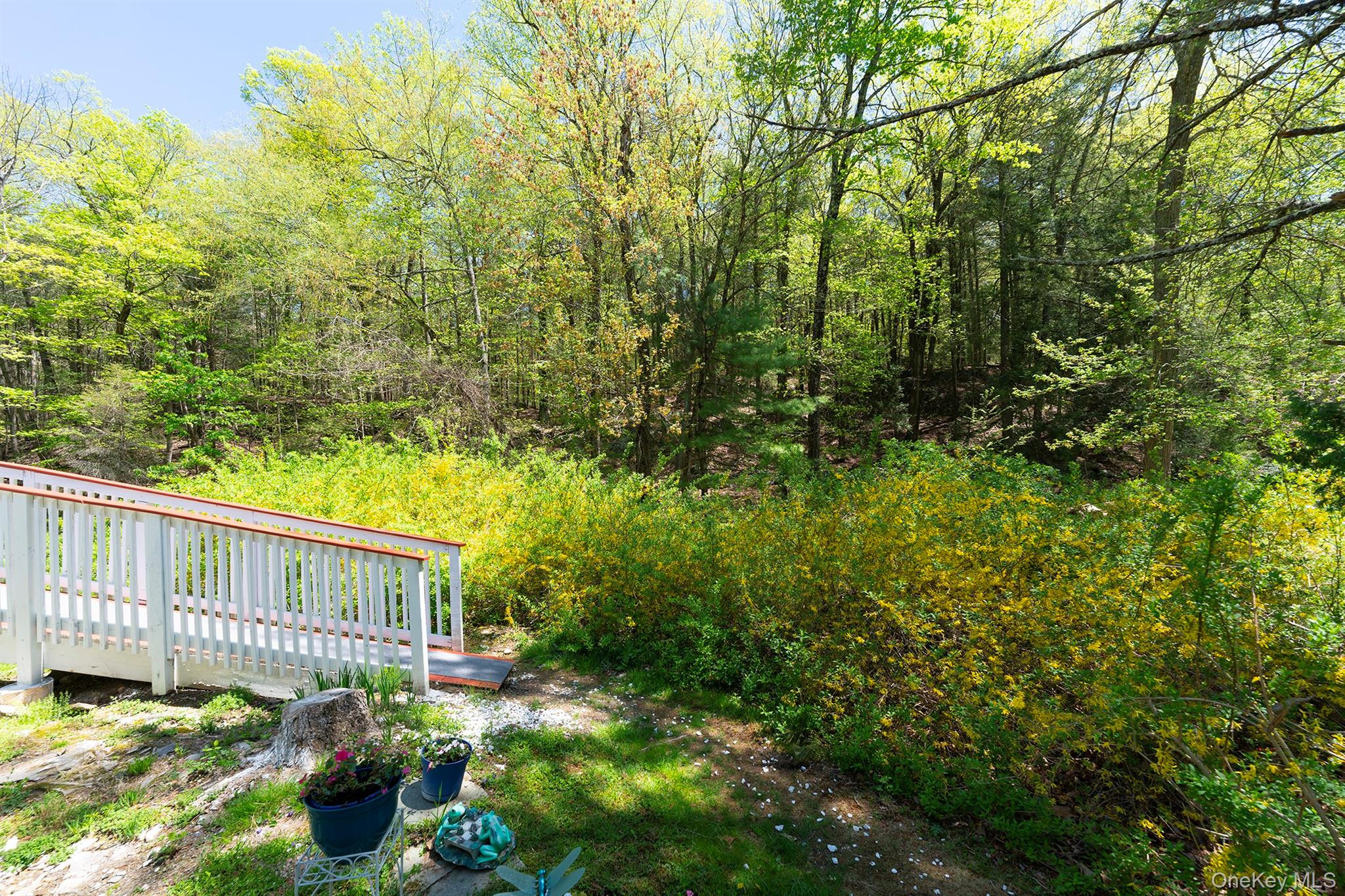 21 Van Dam Property Photo 23
