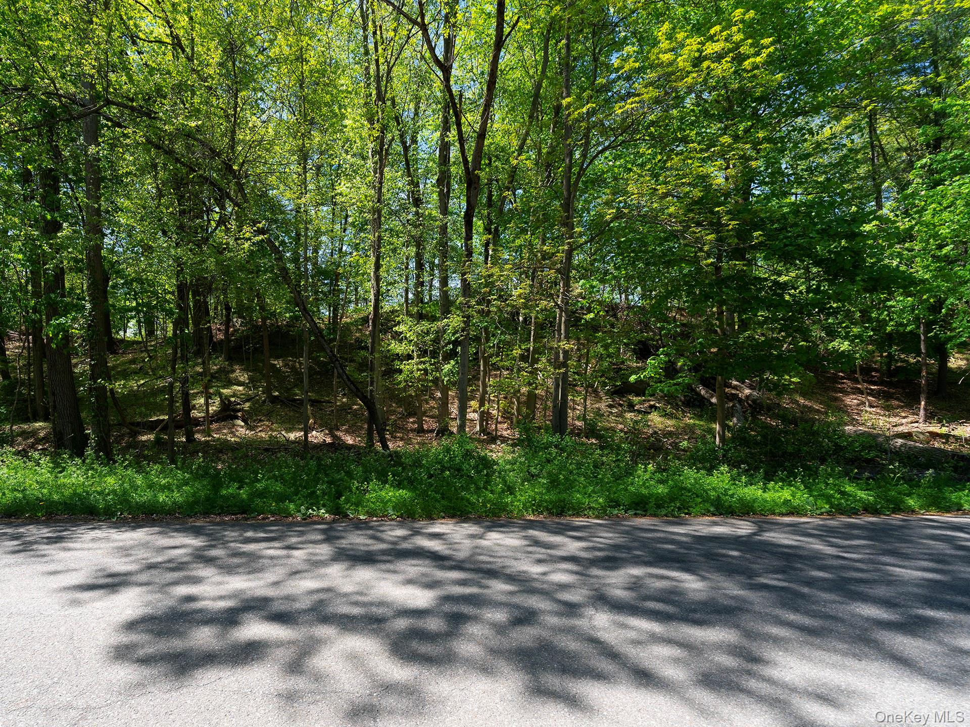 21 Van Dam Property Photo 24