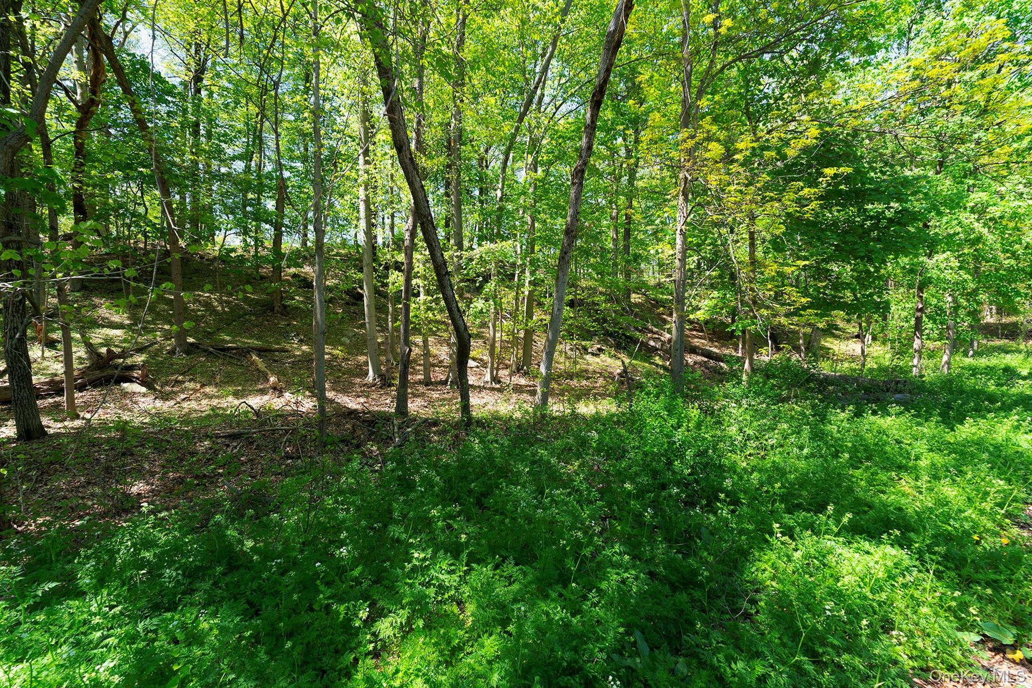 21 Van Dam Property Photo 25