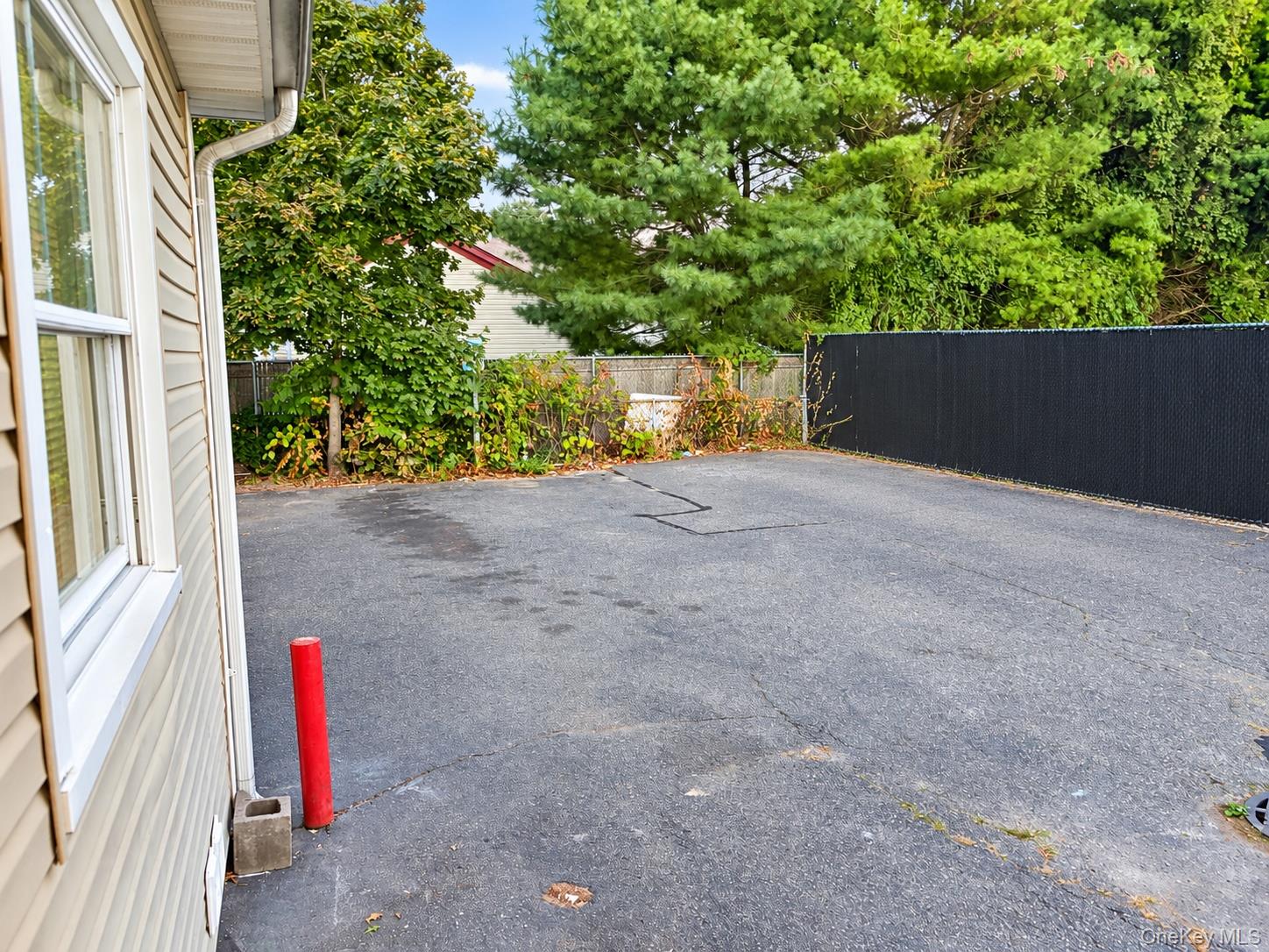 21 Carleton Avenue Property Photo 16