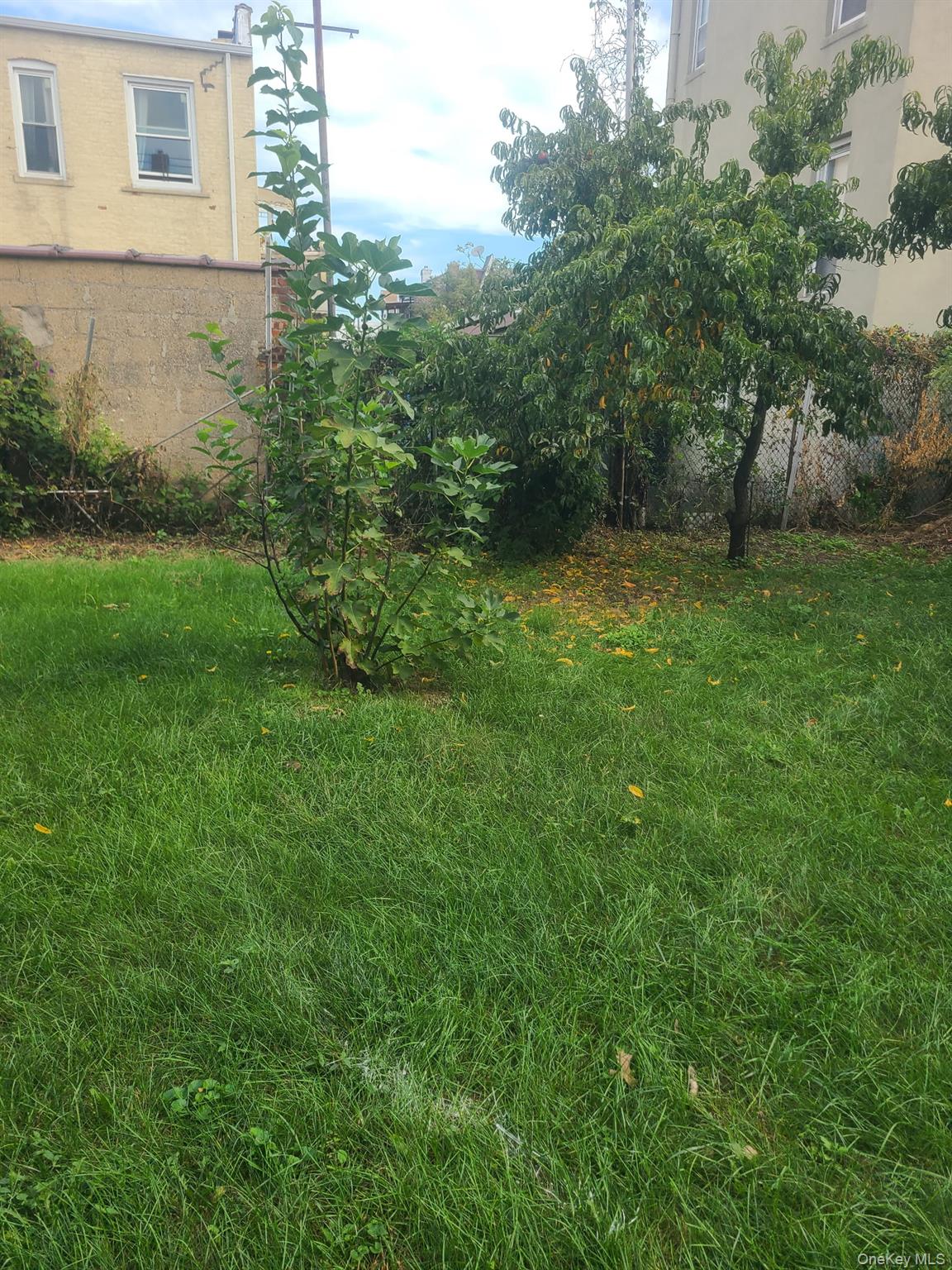 2905 Wilkinson Avenue Property Photo 15