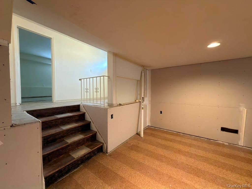 925 Northern Boulevard Property Photo 19