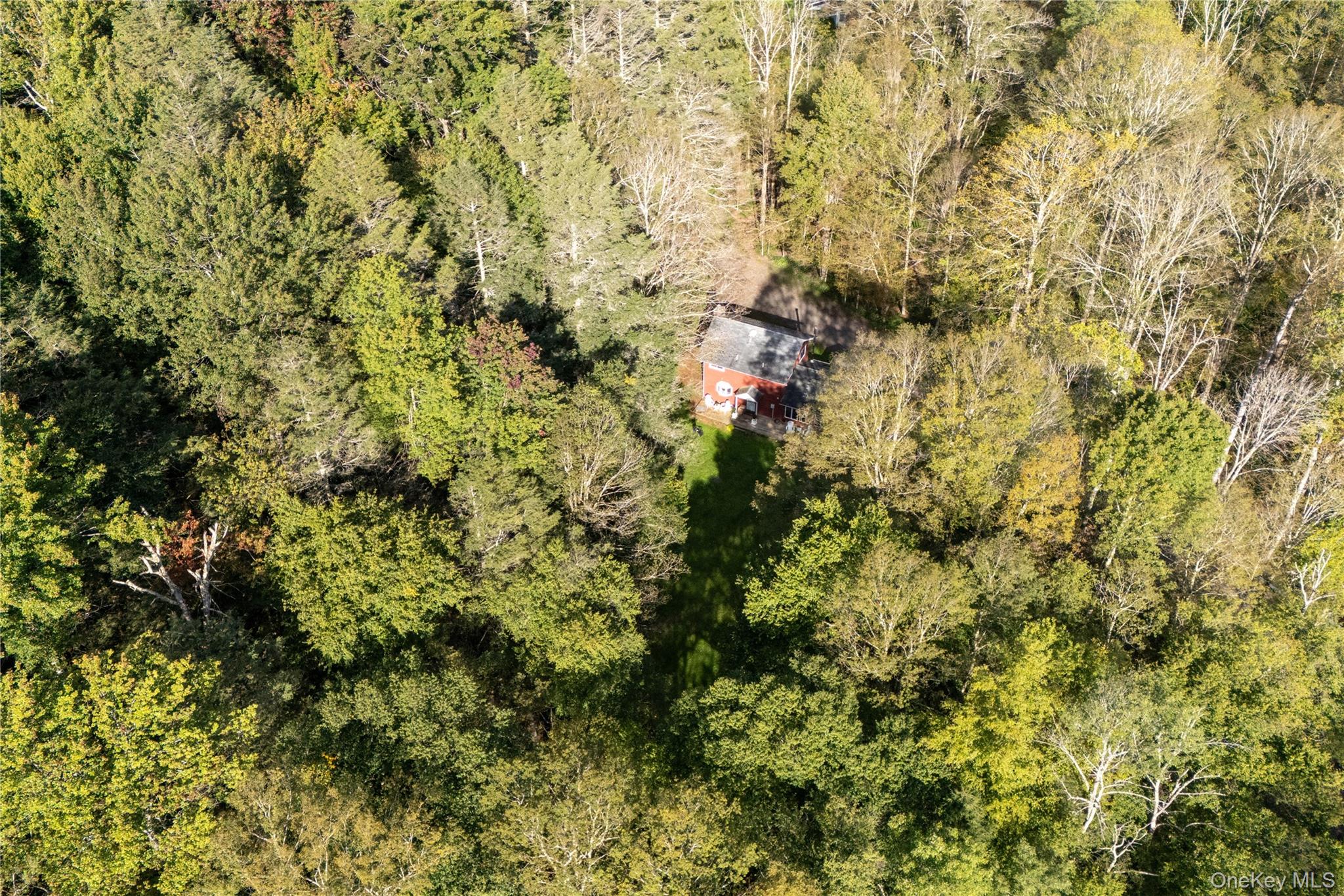 123 Maben Hollow Road Property Photo 25