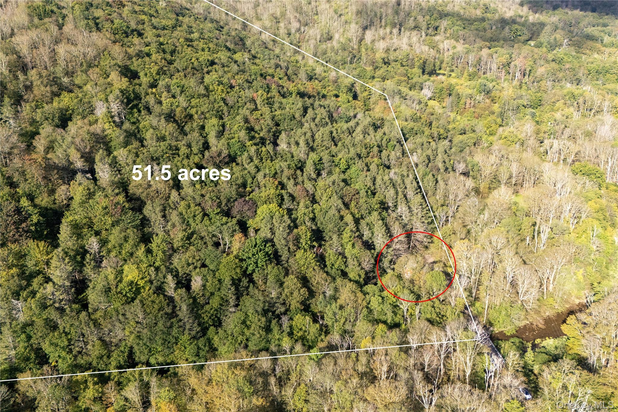 123 Maben Hollow Road Property Photo 26