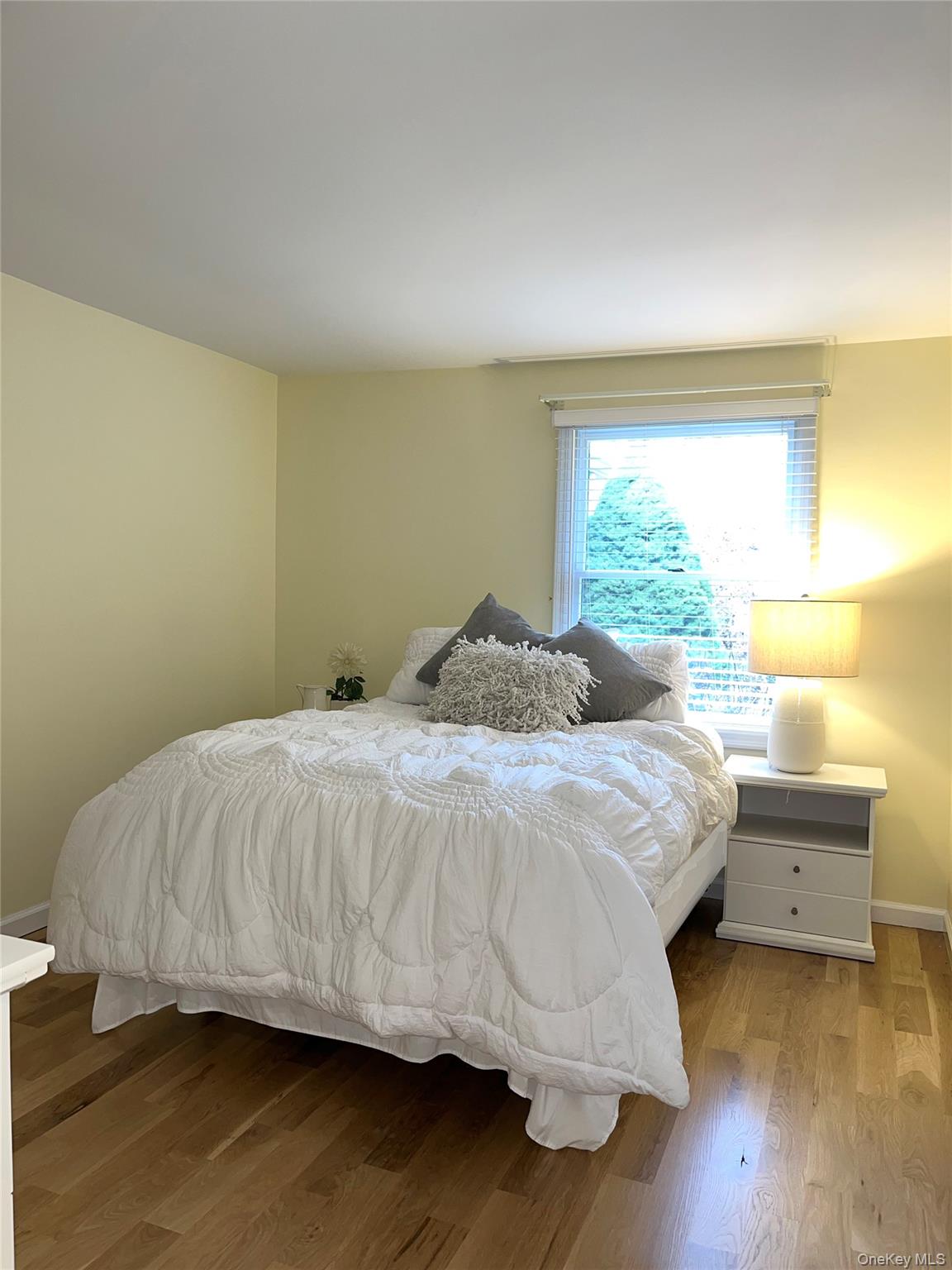 25 Squires Avenue Property Photo 15