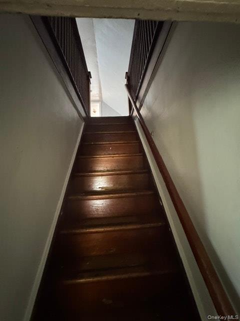 31 Martineau Street Property Photo 14