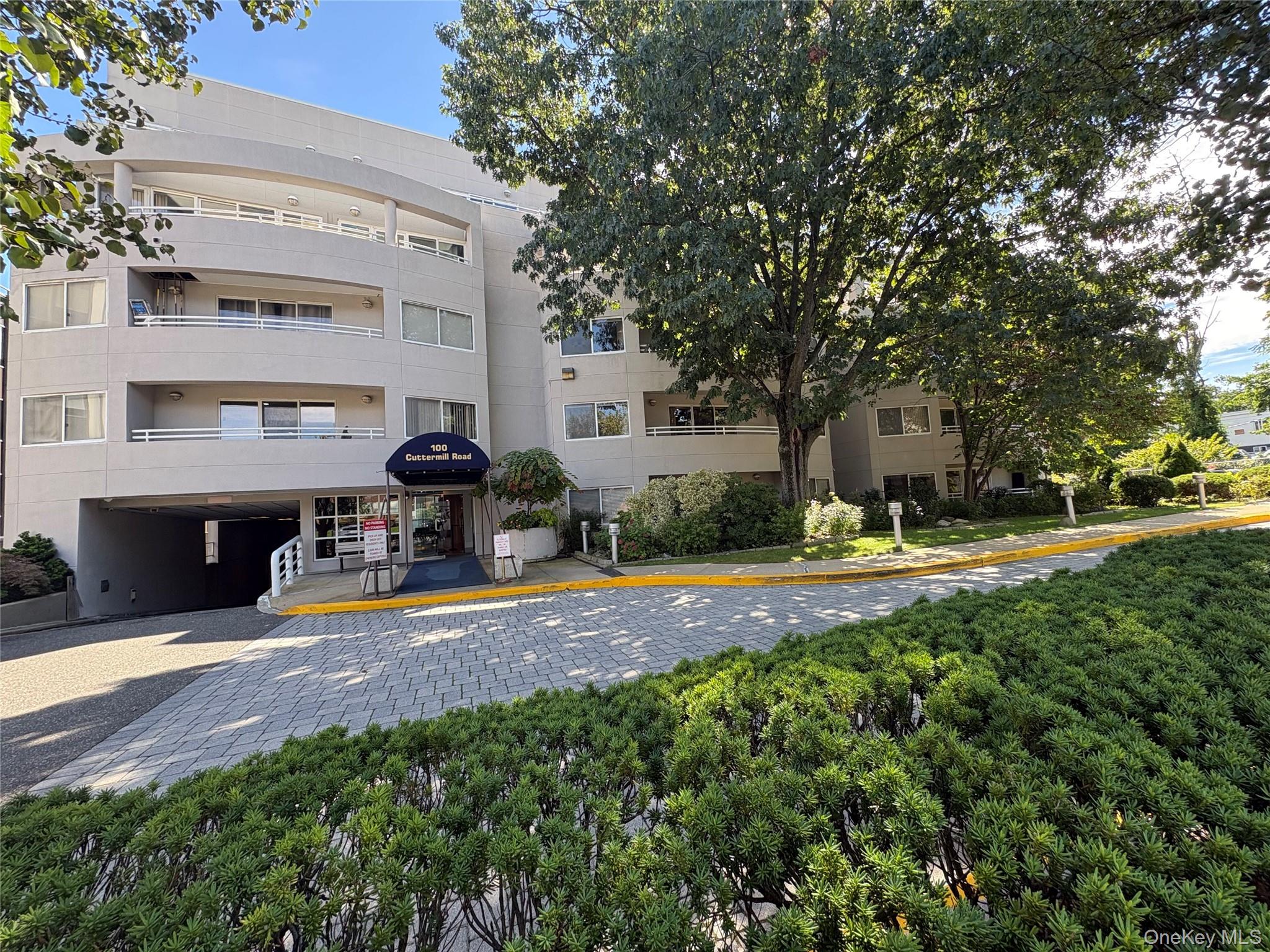 100 Cuttermill Road 3h Property Photo 16