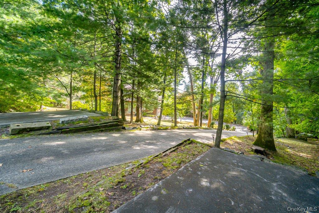 57 Forest View Road Property Photo 30