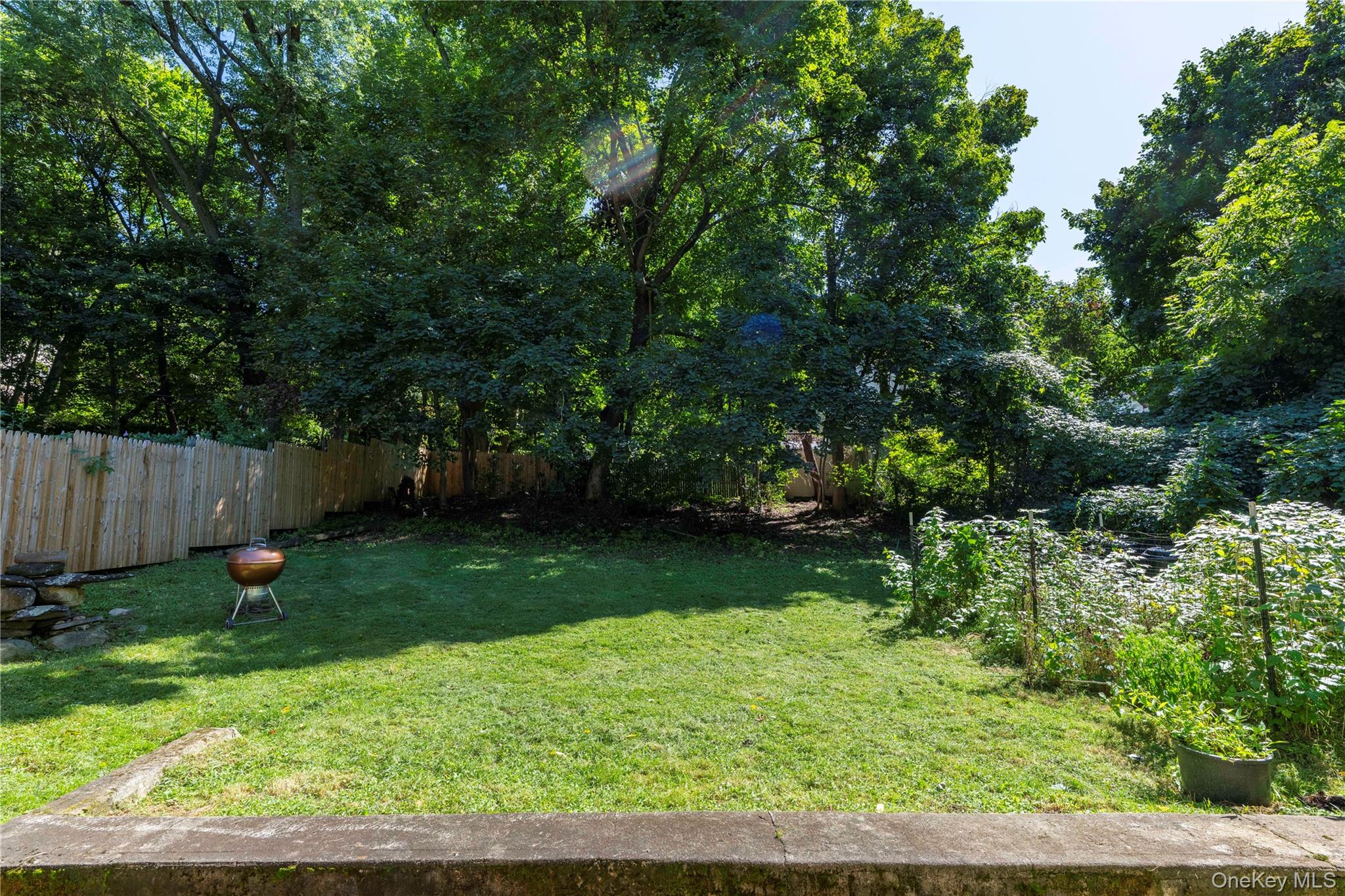 1419 Park Street Property Photo 26