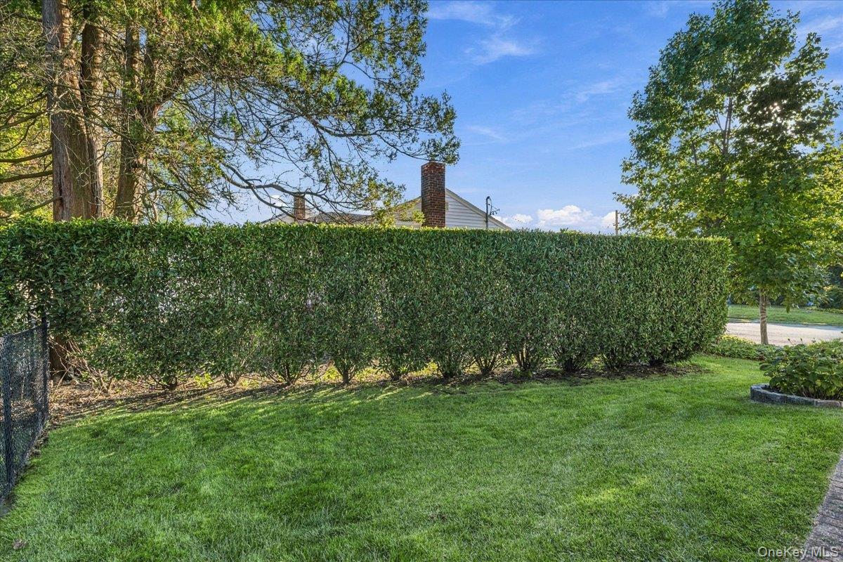 1053862 Property Photo 5