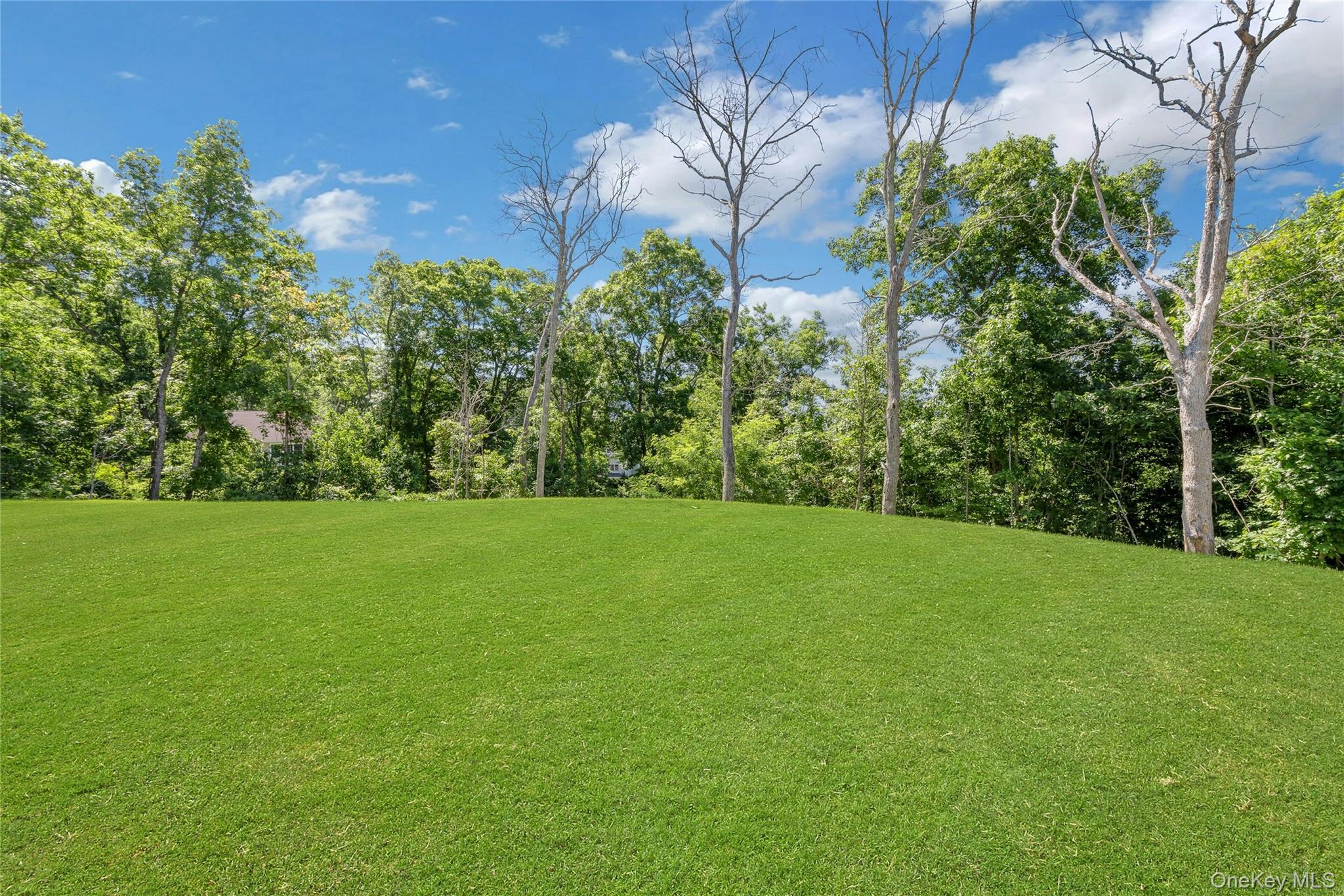 20 Sophia Lane Property Photo 30
