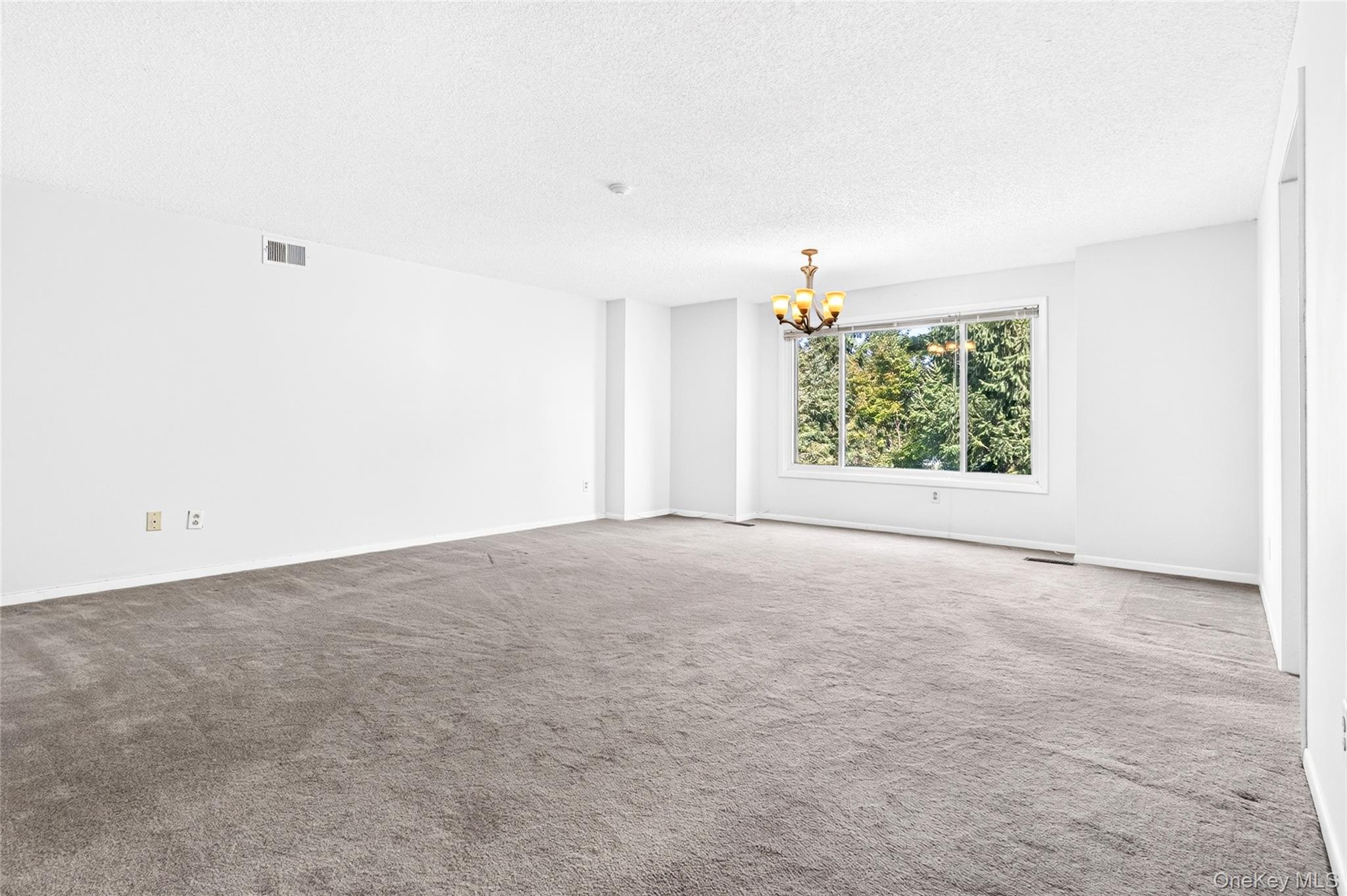 70 Chester Lane Property Photo 4