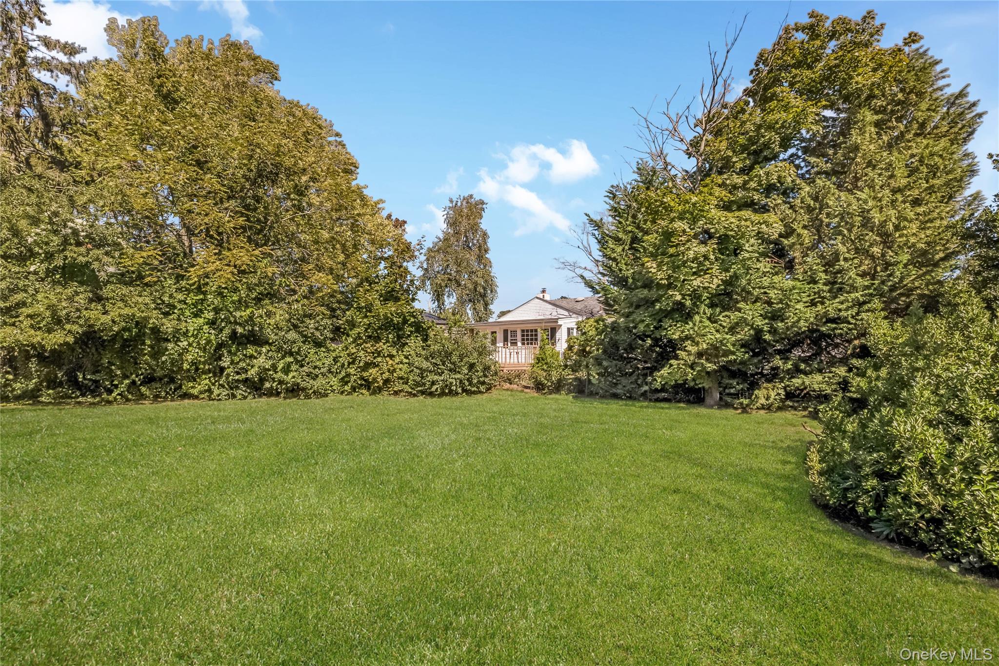 26 Dawes Avenue Property Photo 12