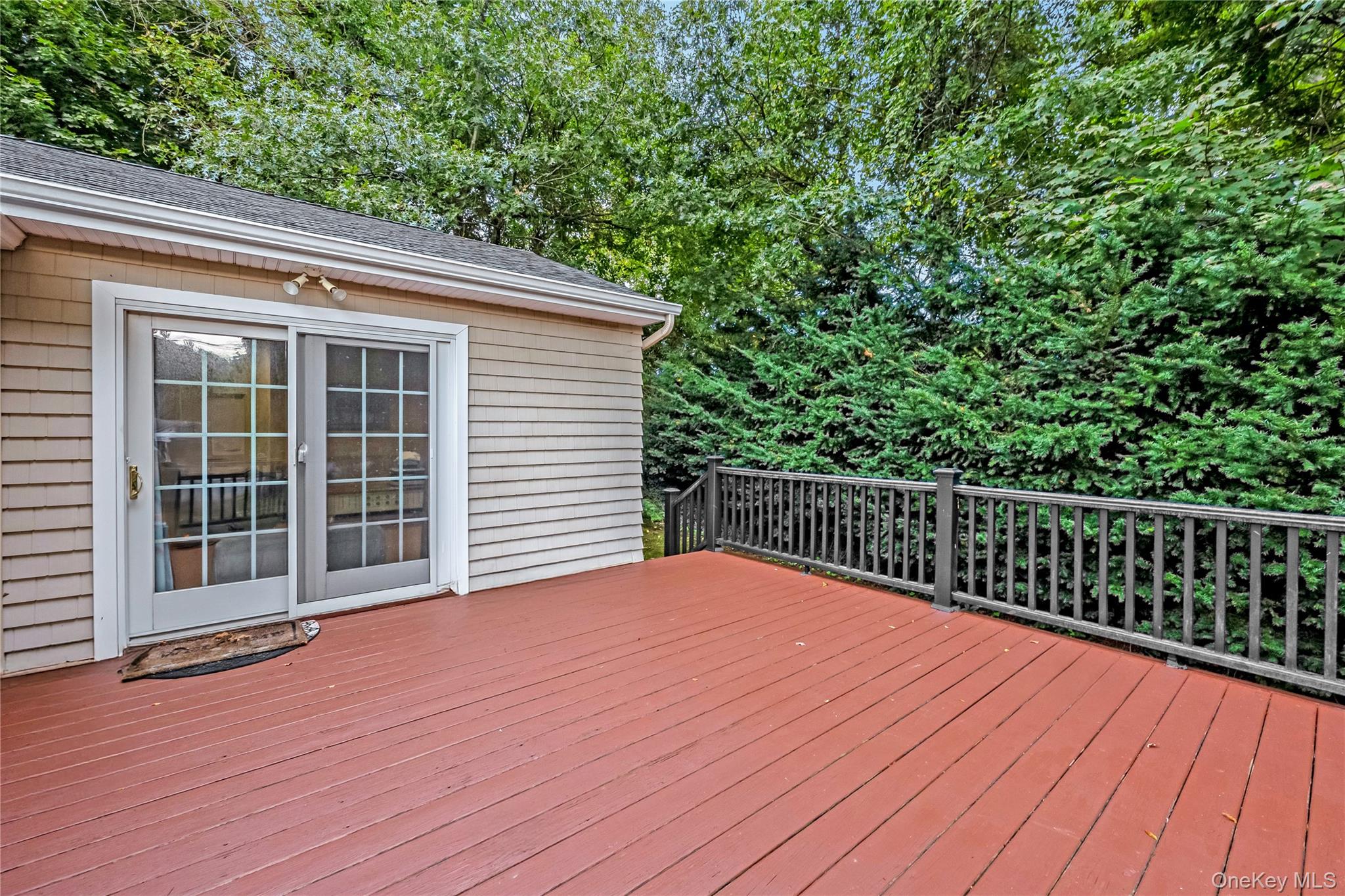 146 Elm Street Property Photo 7