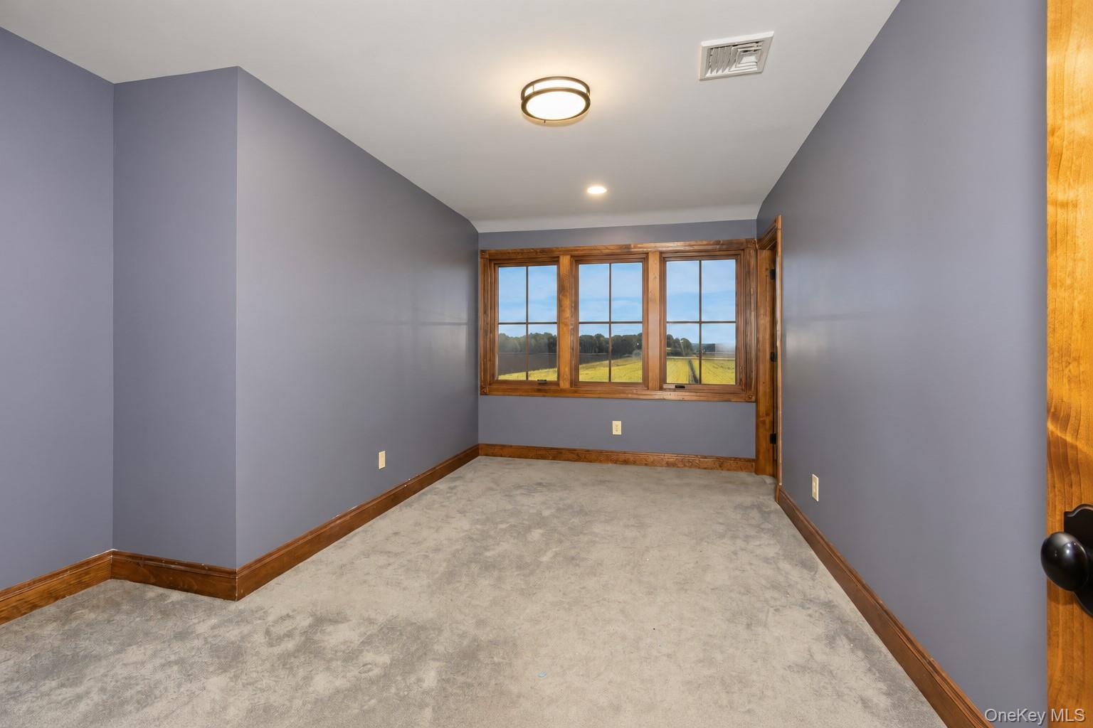 231 Celery Avenue Property Photo 26