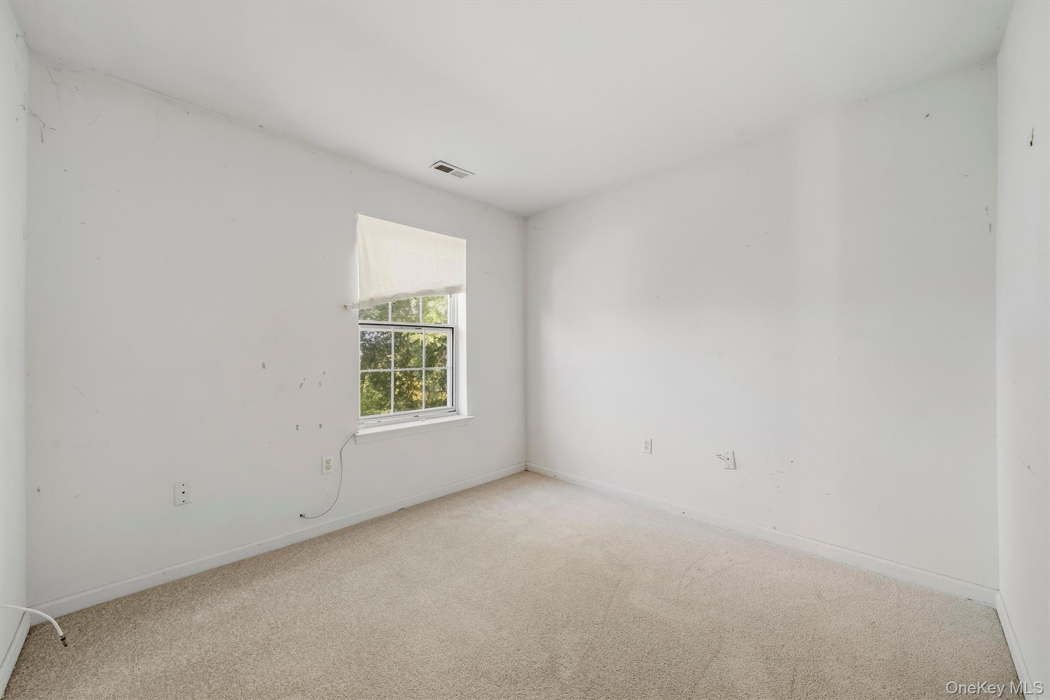 4 Lindsey Road Property Photo 15