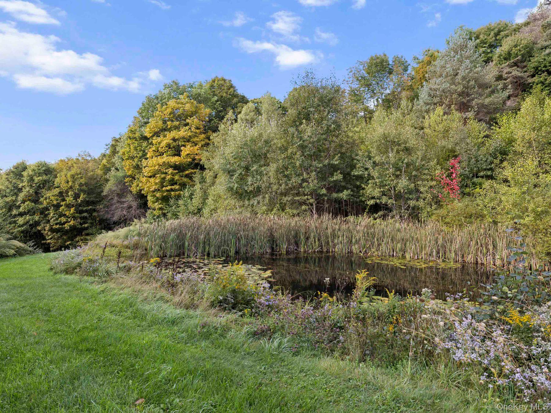 495 William Beers Road Property Photo 31