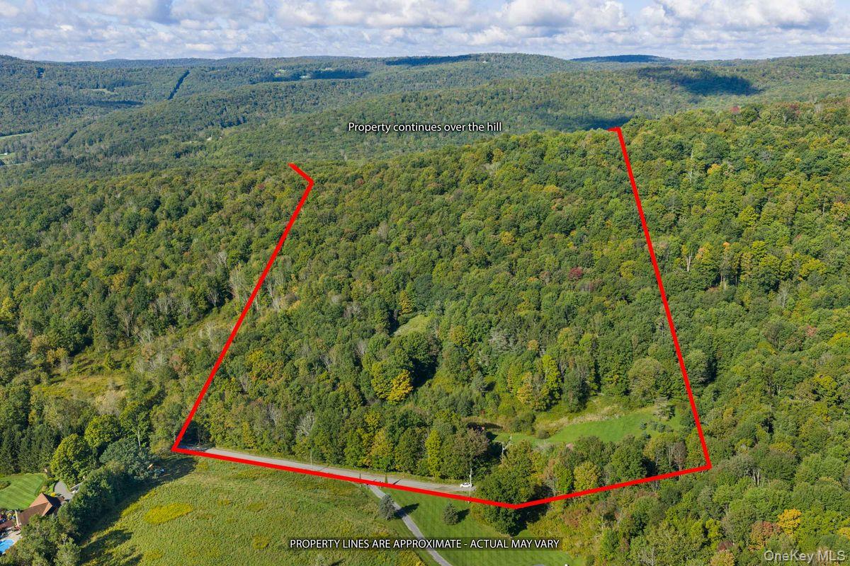 495 William Beers Road Property Photo 44