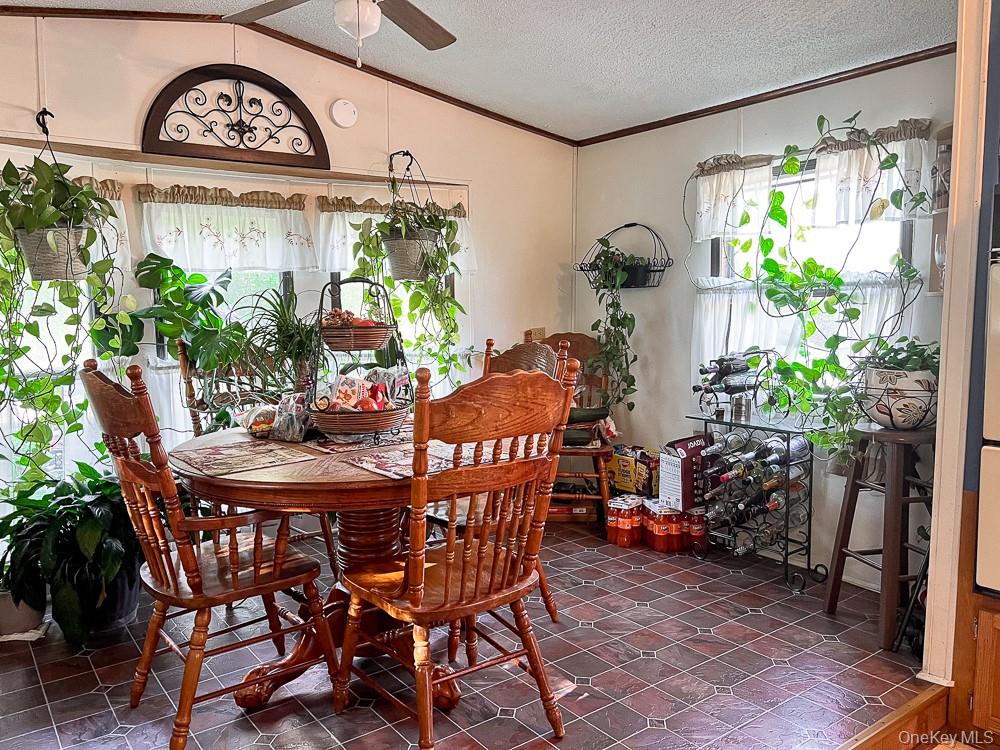 166 Seeman Road Property Photo 10