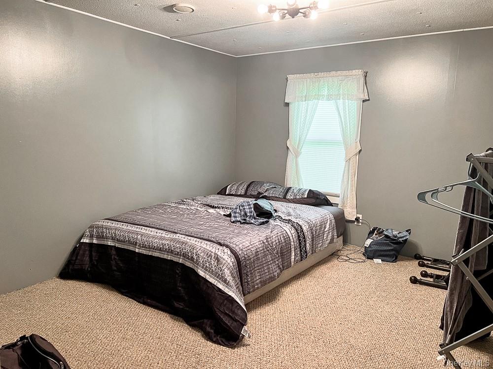 166 Seeman Road Property Photo 44