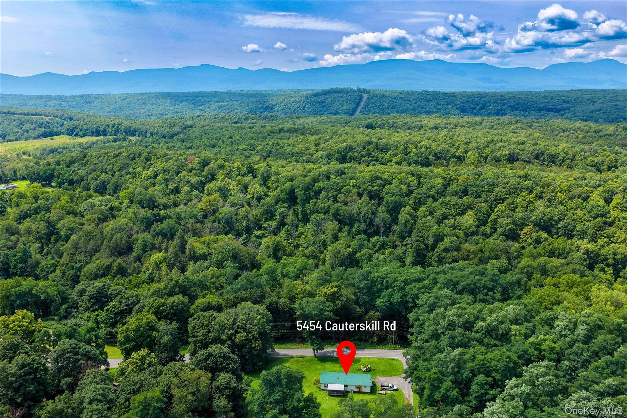 5454 Cauterskill Road Property Photo 6