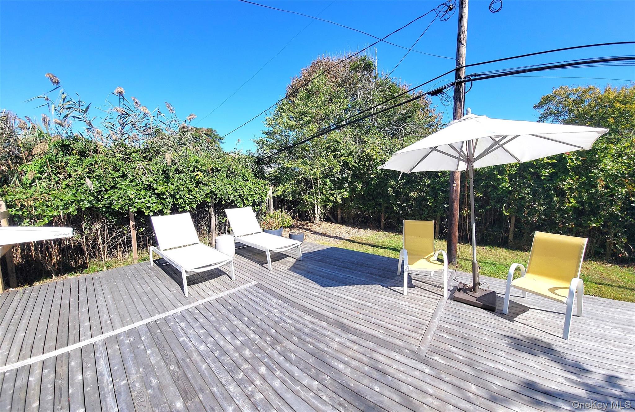 63 Holly Walk Property Photo 10