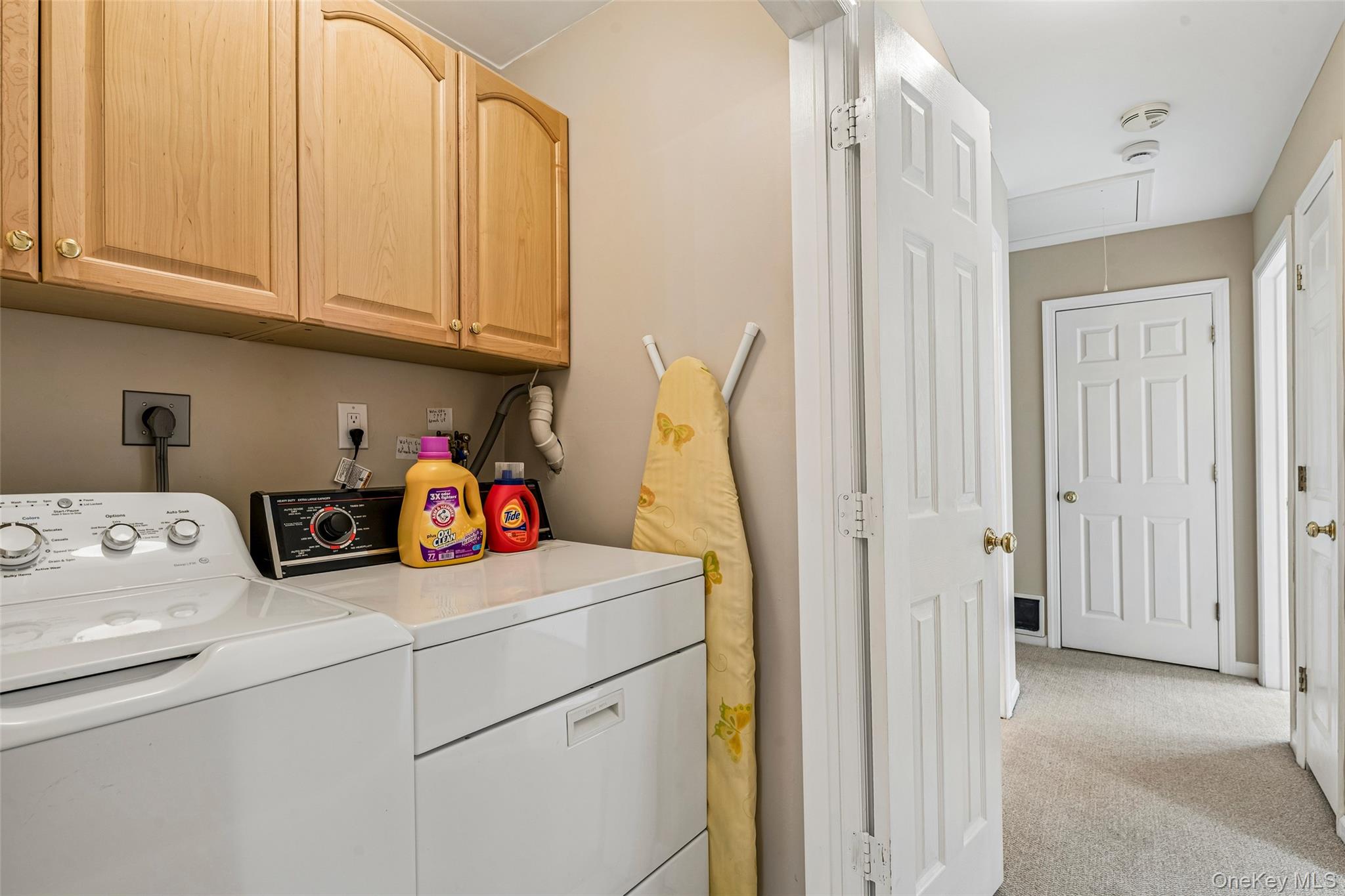 37 Linden Street Property Photo 19