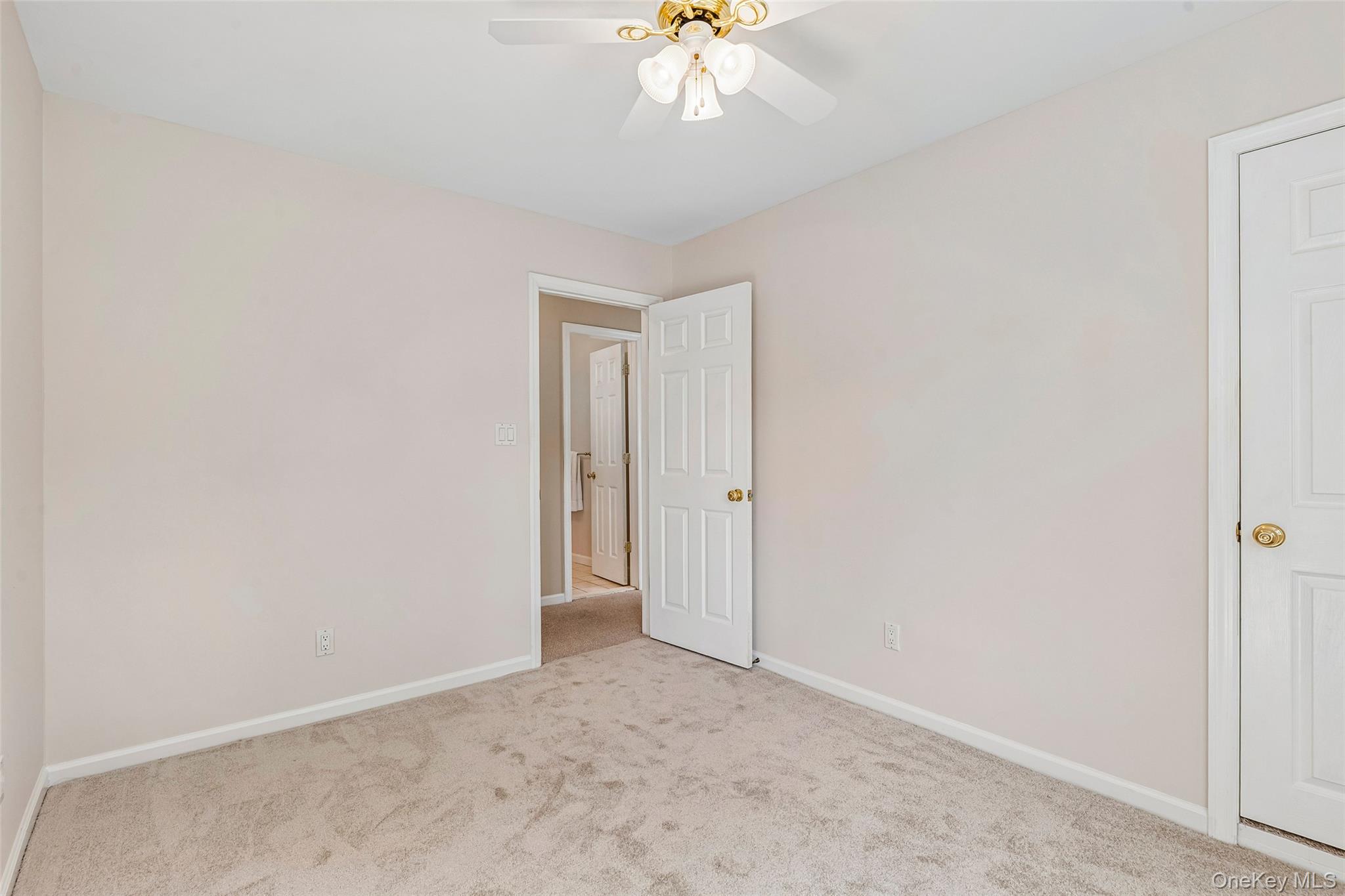 37 Linden Street Property Photo 21